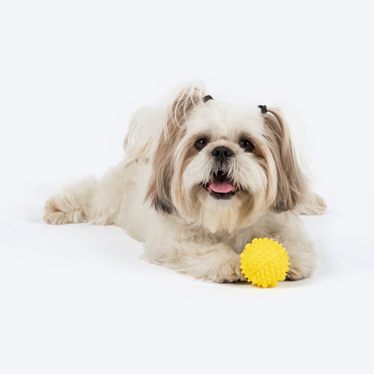 Dash Dog Mello-Yello Ball For Dog - Yellow - S