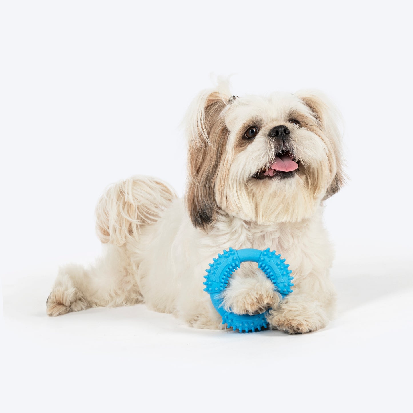 Dash Dog Softy Ring Toy For Dog - Blue - Heads Up For Tails