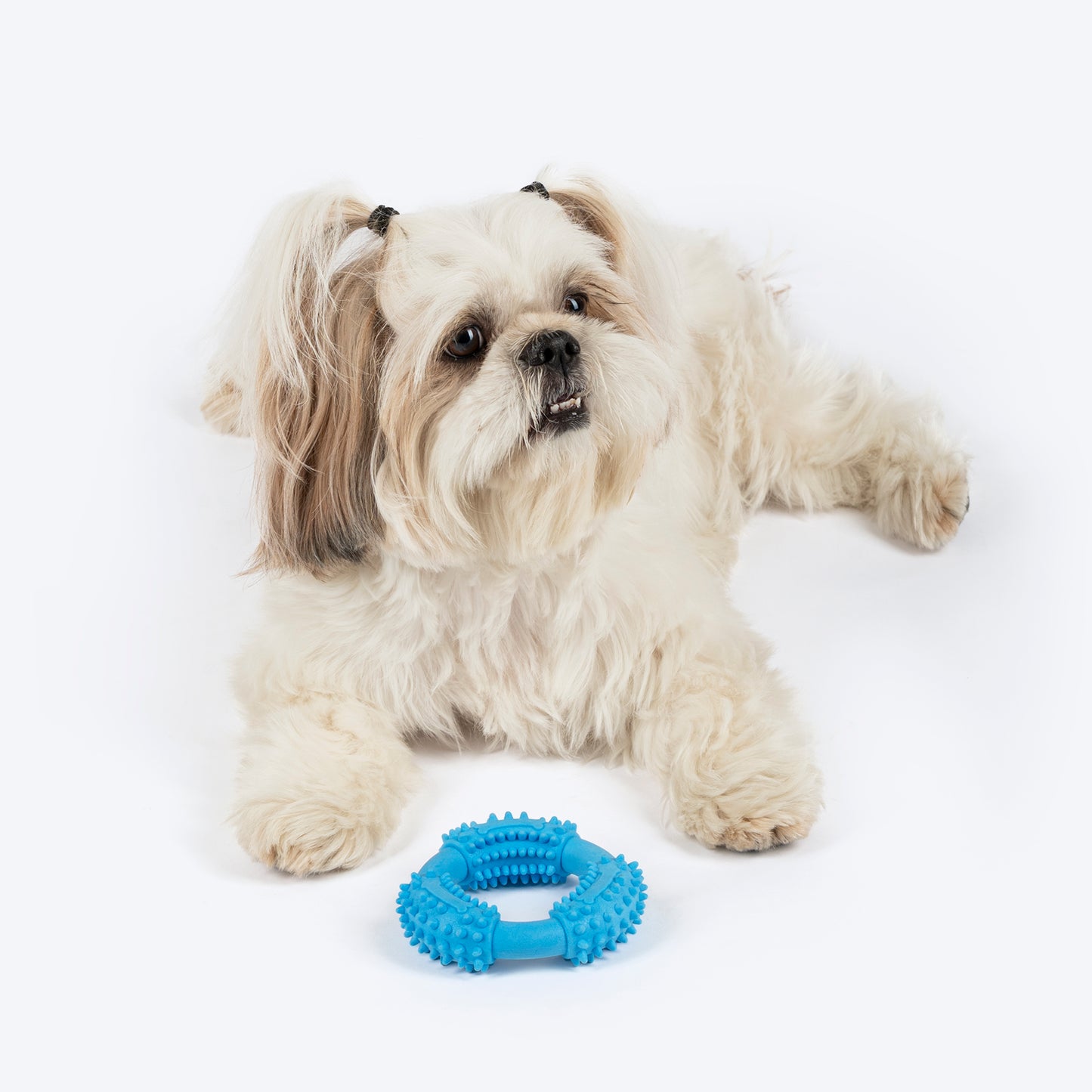 Dash Dog Softy Ring Toy For Dog - Blue - Heads Up For Tails