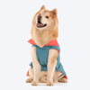 Dash Dog Puffer Dog Jacket - Aqua & Coral_05