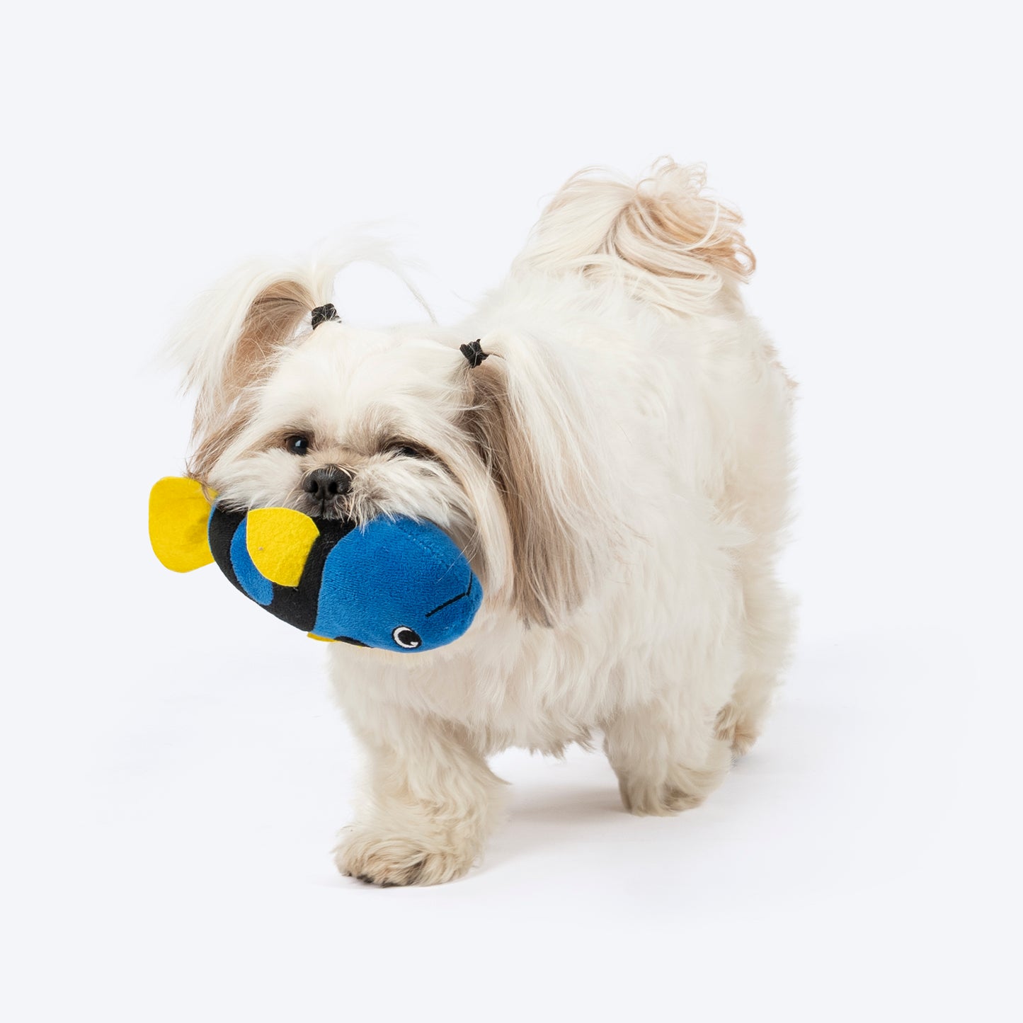 TLC Dory Squeaky Plush Toy For Puppies & Small Dogs - Blue - Heads Up For Tails