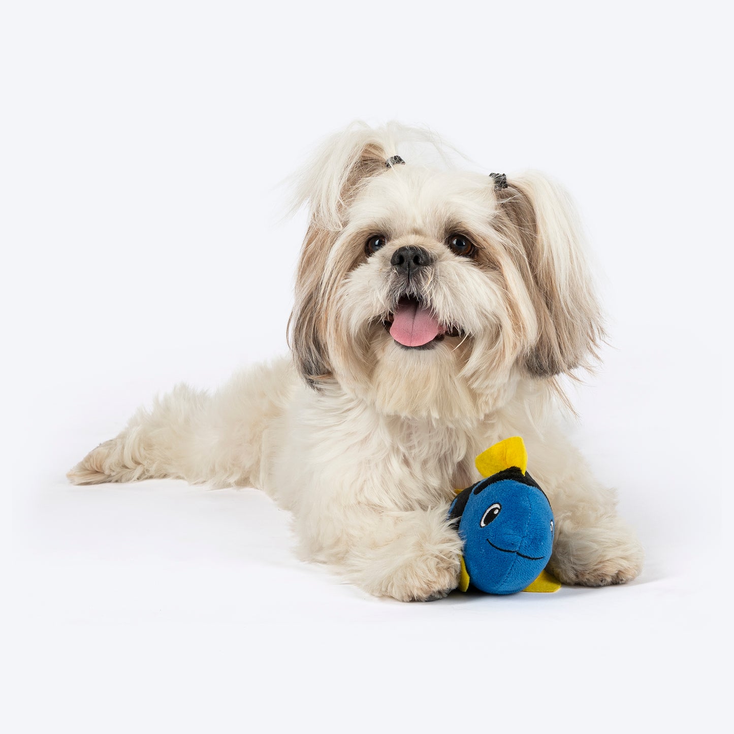 TLC Dory Squeaky Plush Toy For Puppies & Small Dogs - Blue - Heads Up For Tails