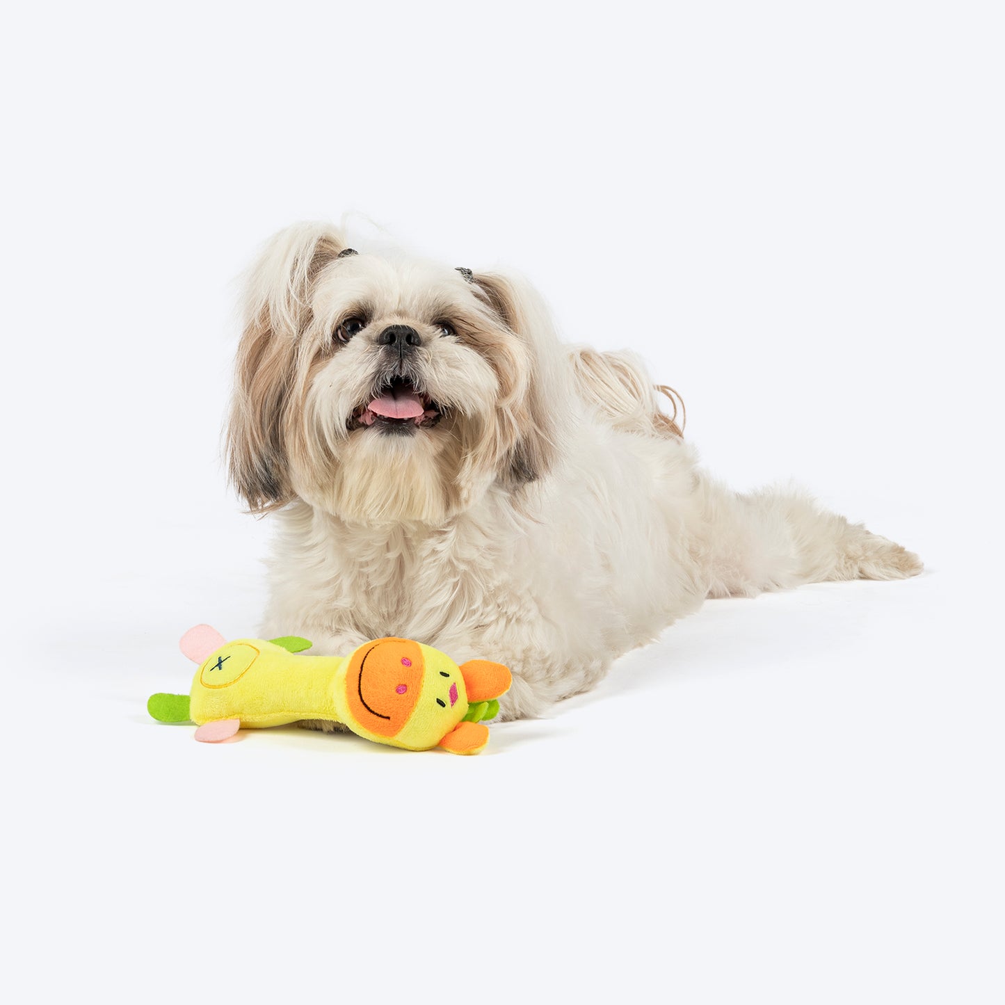 TLC Giggles Squeaky Plush Toy For Puppies & Small Dogs - Multicolor - Heads Up For Tails