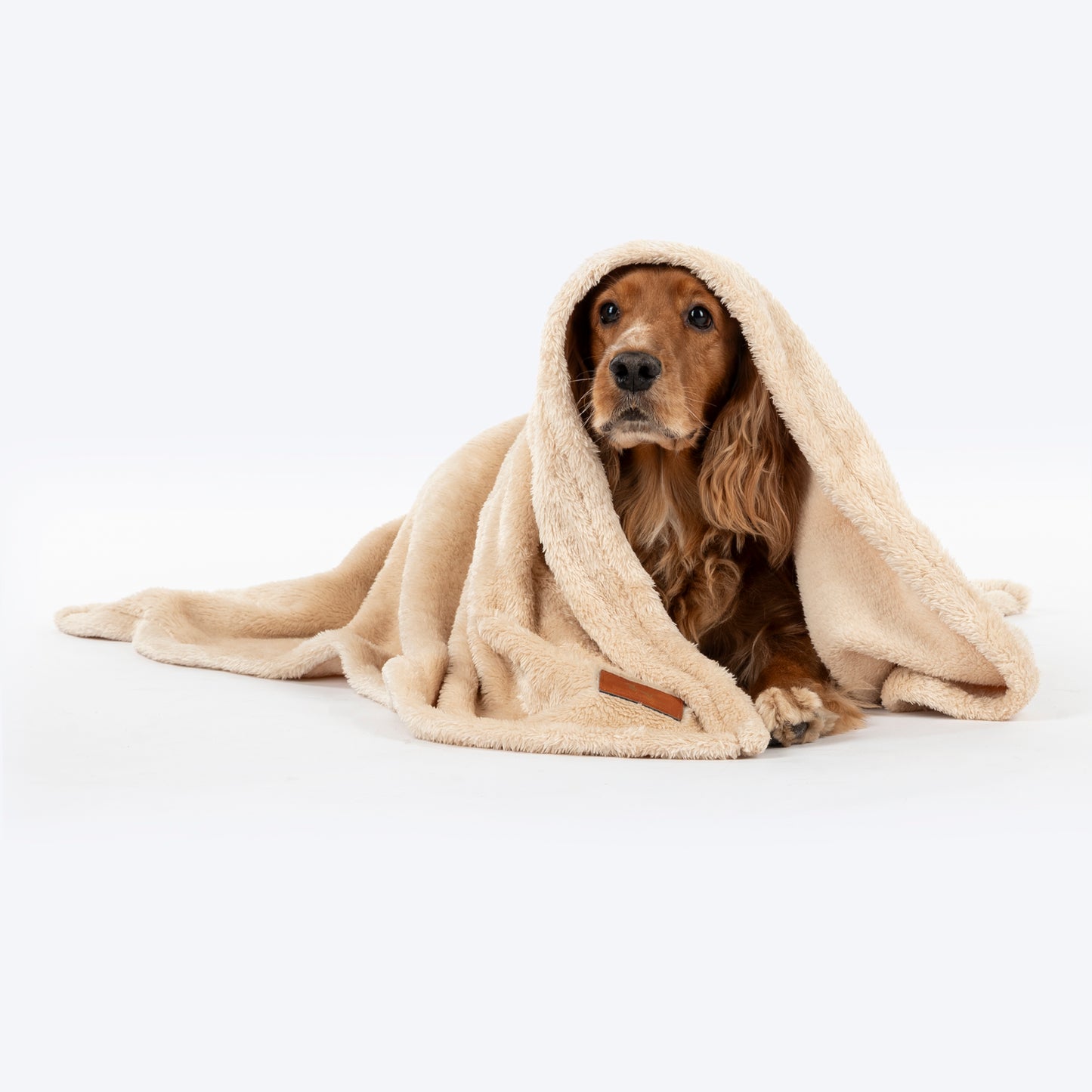 HUFT Furry Wrap Blanket For Dog & Cat - Cream