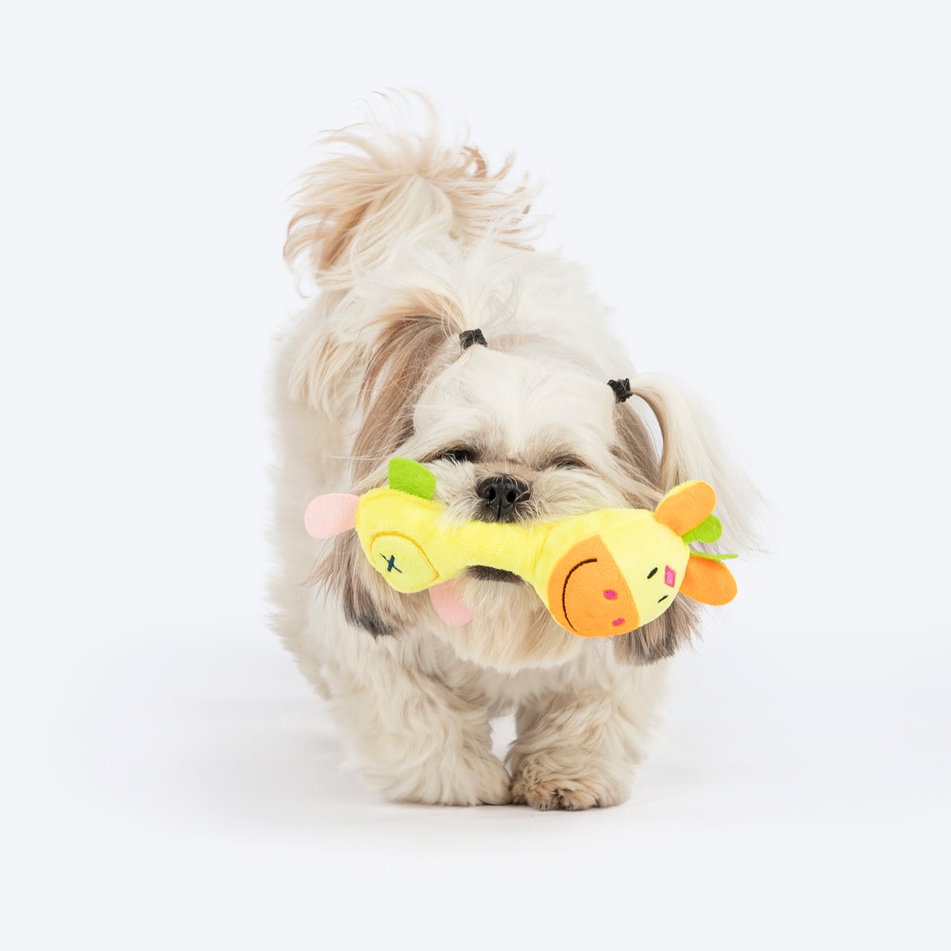 TLC Giggles Squeaky Plush Toy For Puppies & Small Dogs - Multicolor - Heads Up For Tails