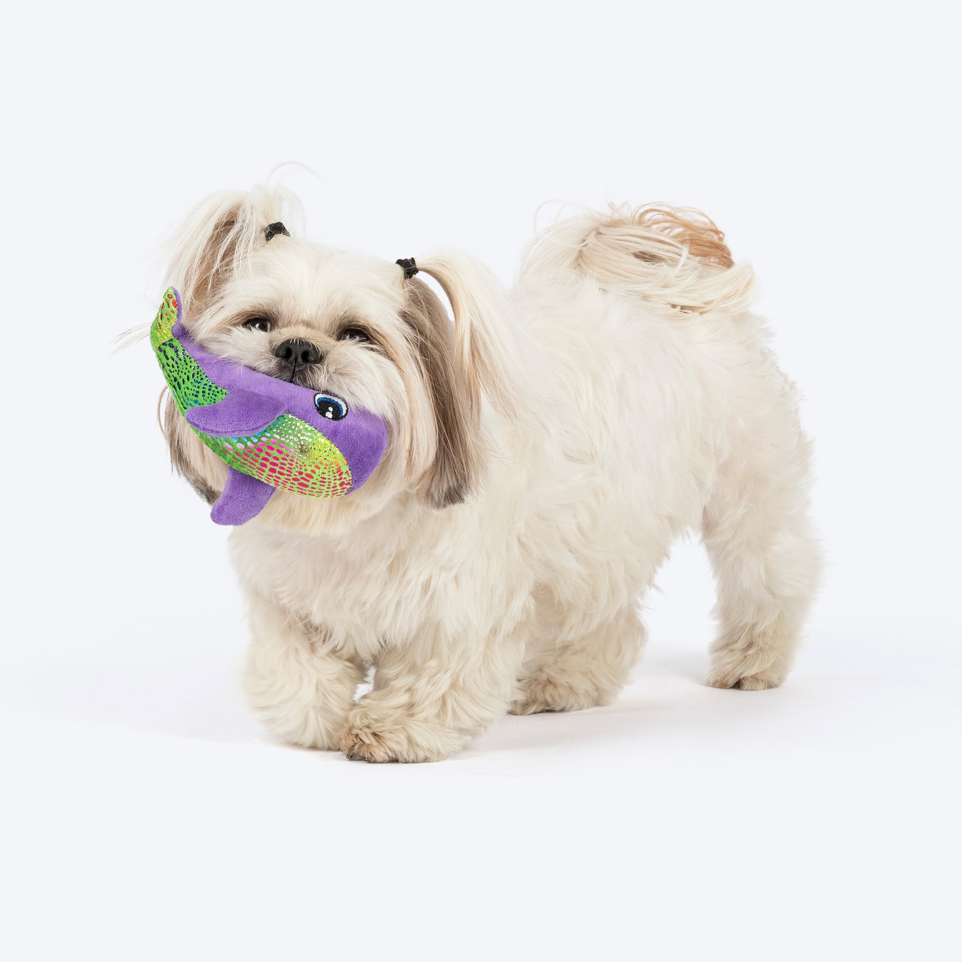 TLC Wally Squeaky Plush Toy For Puppies & Small Dogs - Purple - Heads Up For Tails