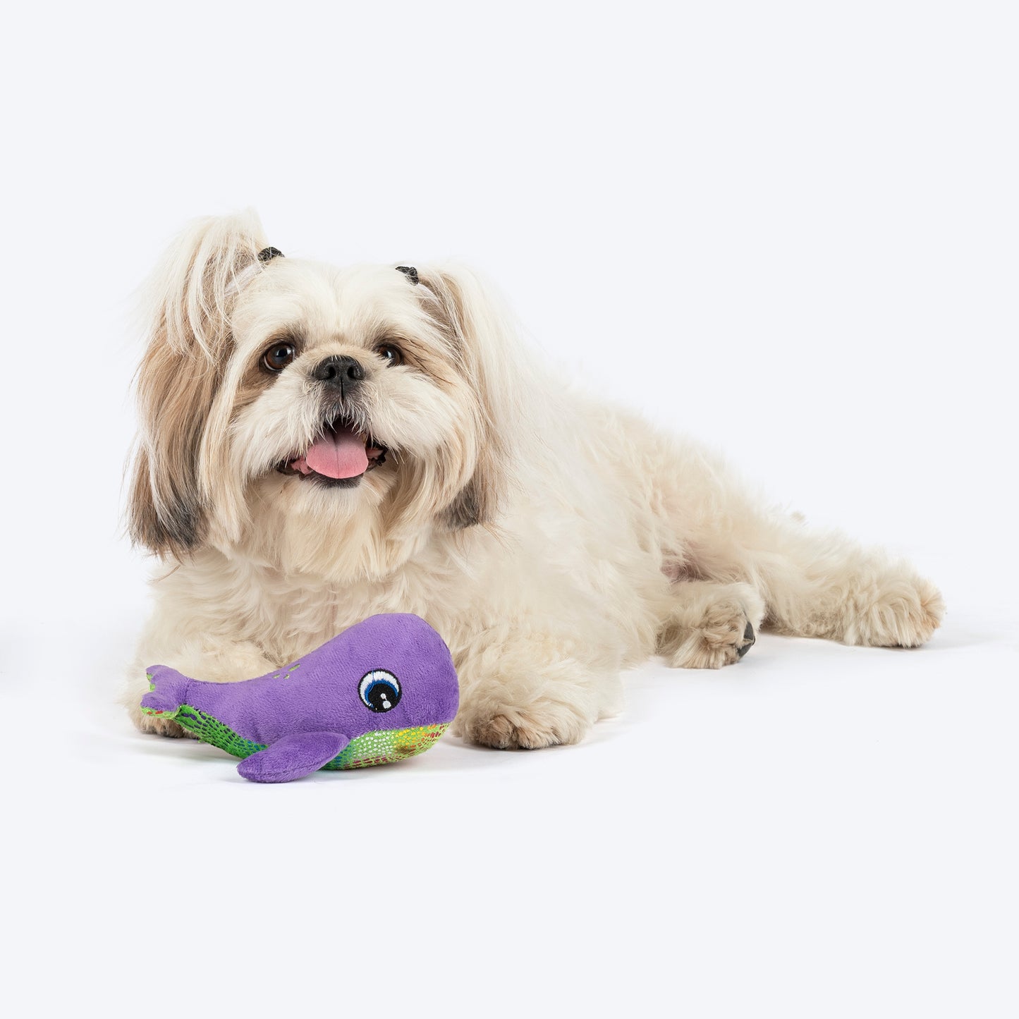 TLC Wally Squeaky Plush Toy For Puppies & Small Dogs - Purple - Heads Up For Tails