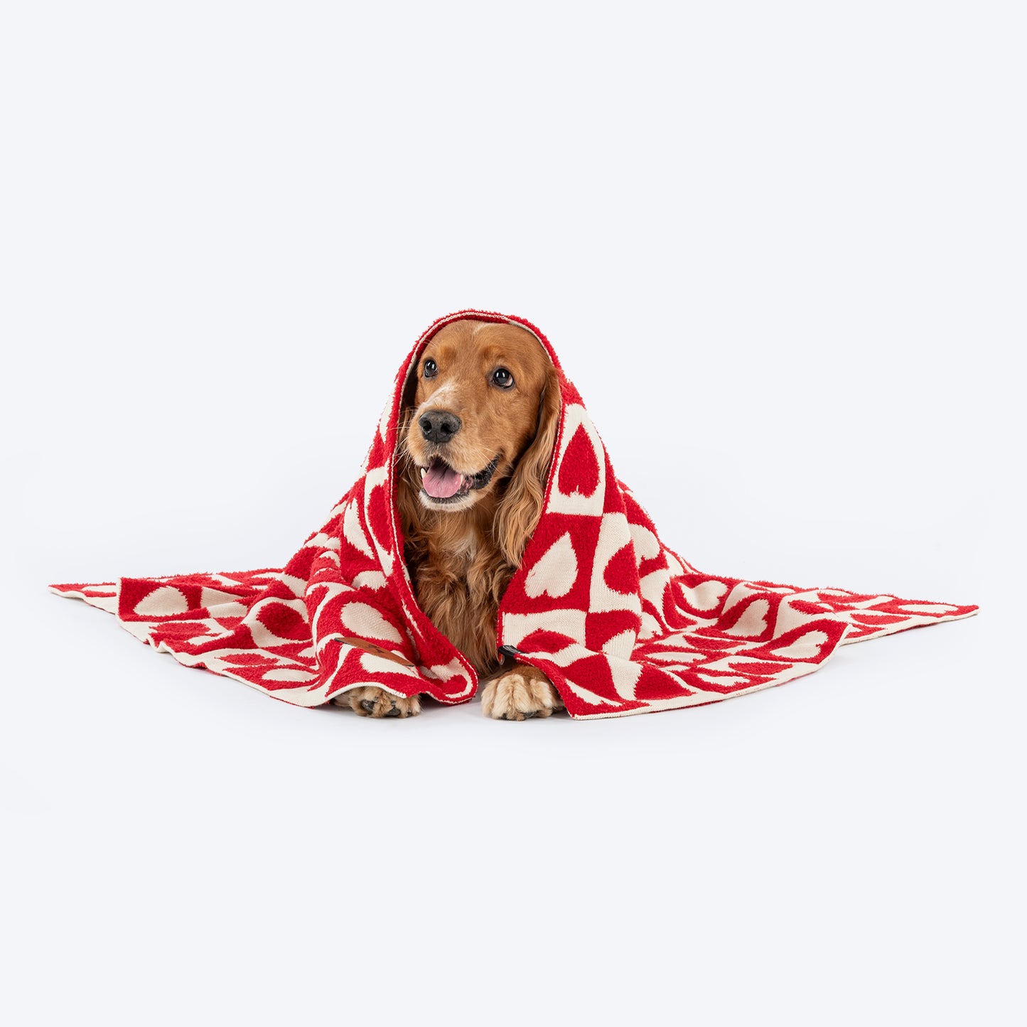 HUFT Snuggle Hearts Blanket For Dog & Cat - Red - Heads Up For Tails