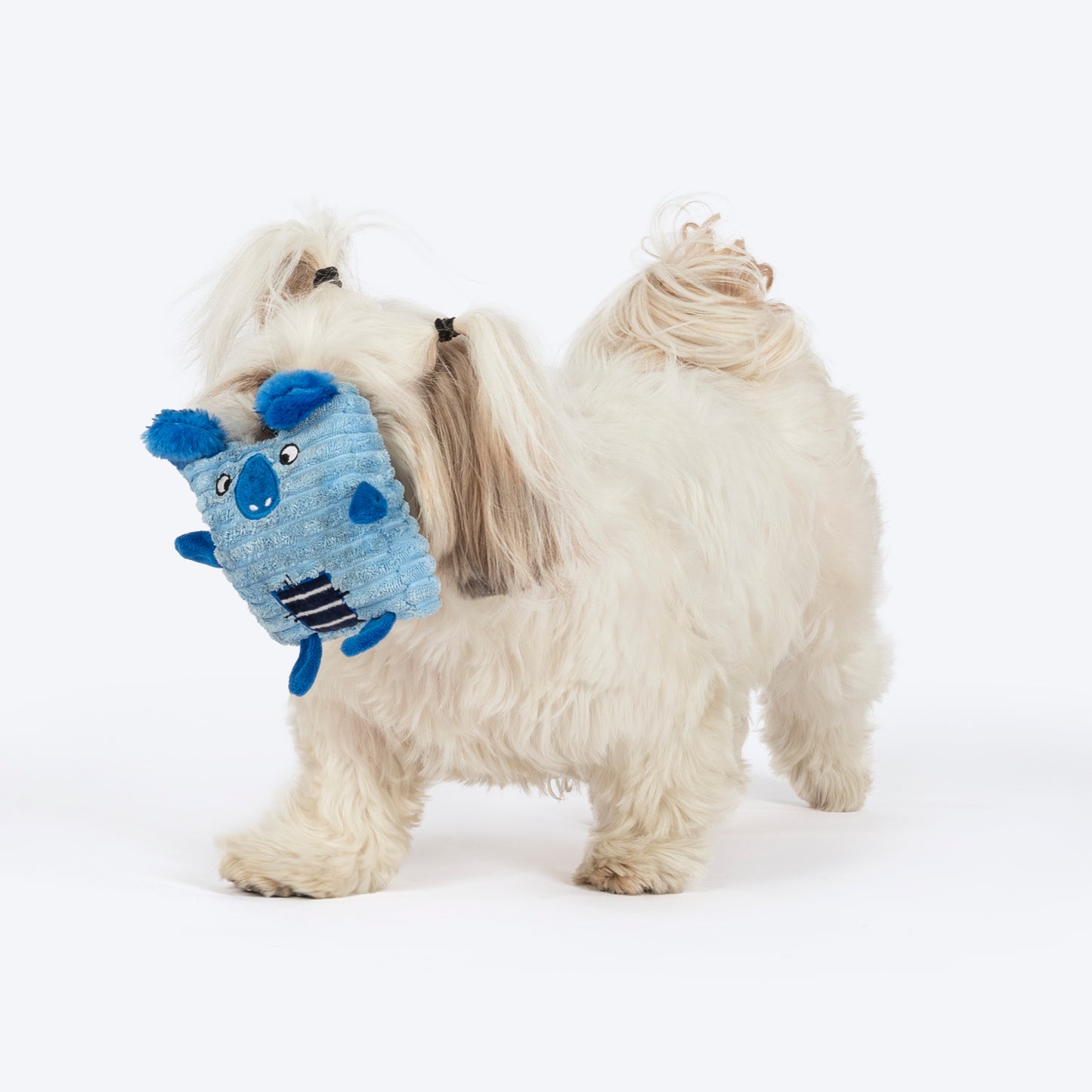 TLC Cubbie Squeaky Plush Toy For Puppies & Small Dogs - Blue - Heads Up For Tails