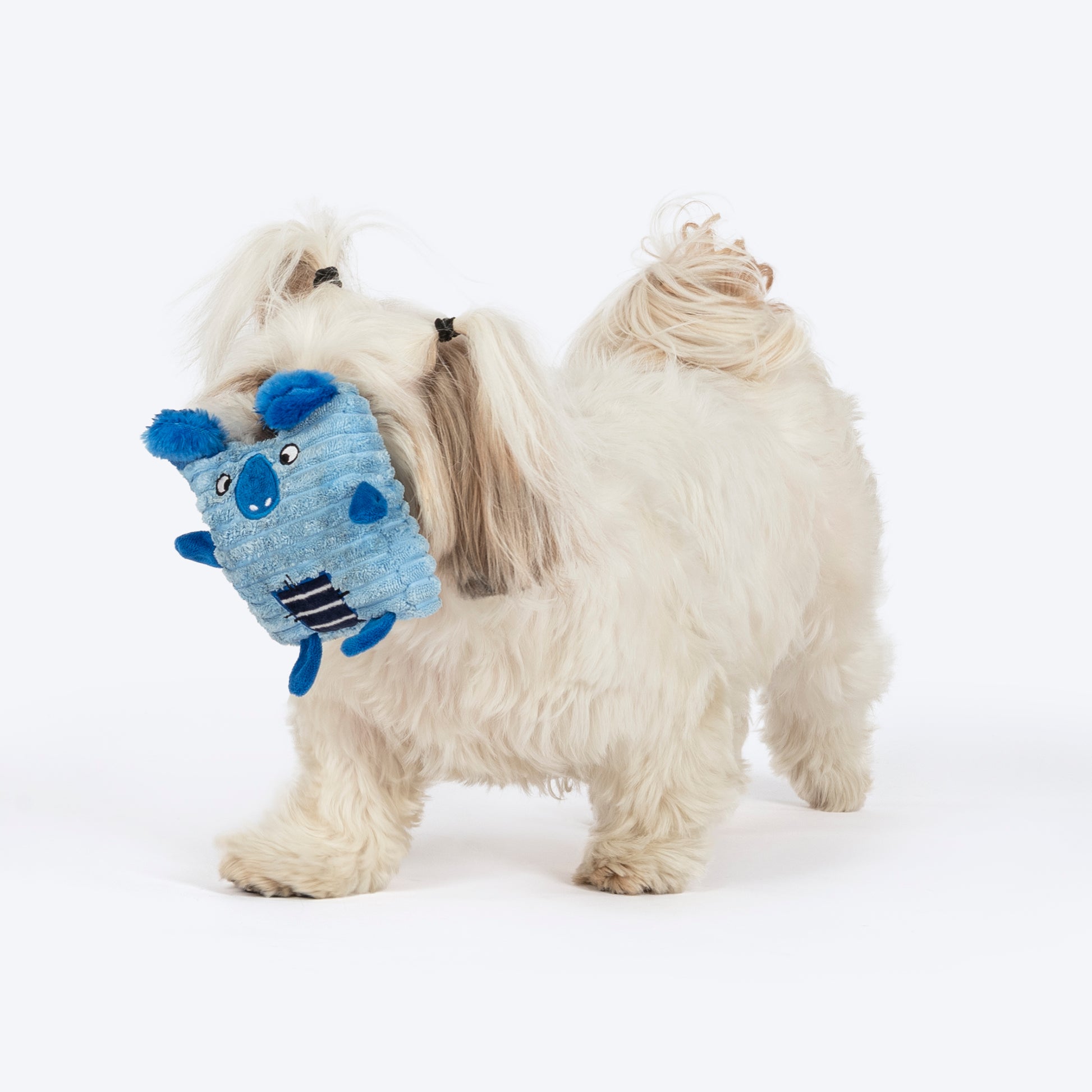 TLC Cubbie Squeaky Plush Toy For Puppies & Small Dogs - Blue - Heads Up For Tails