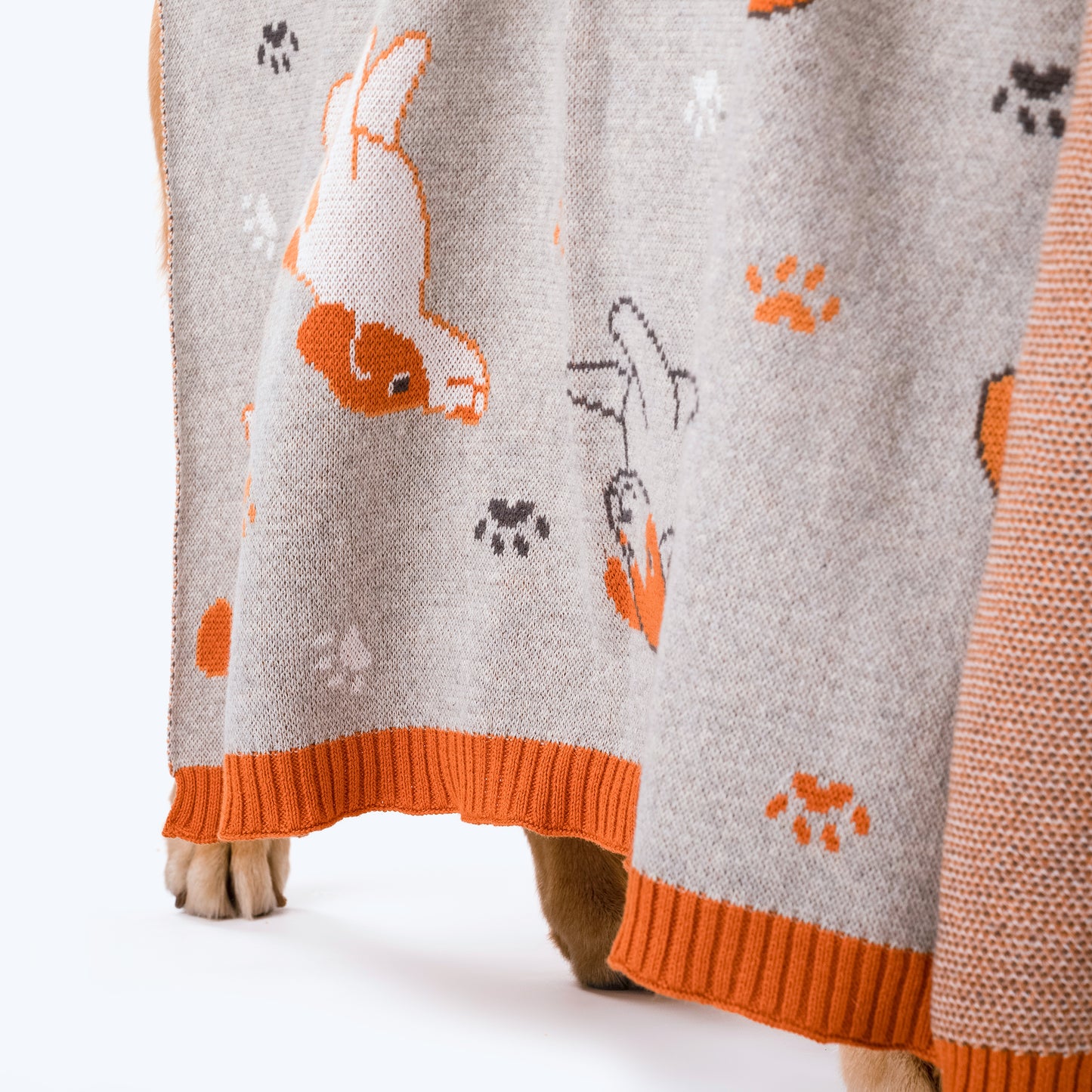 HUFT Paws & Nap Blanket For Pets - Heads Up For Tails
