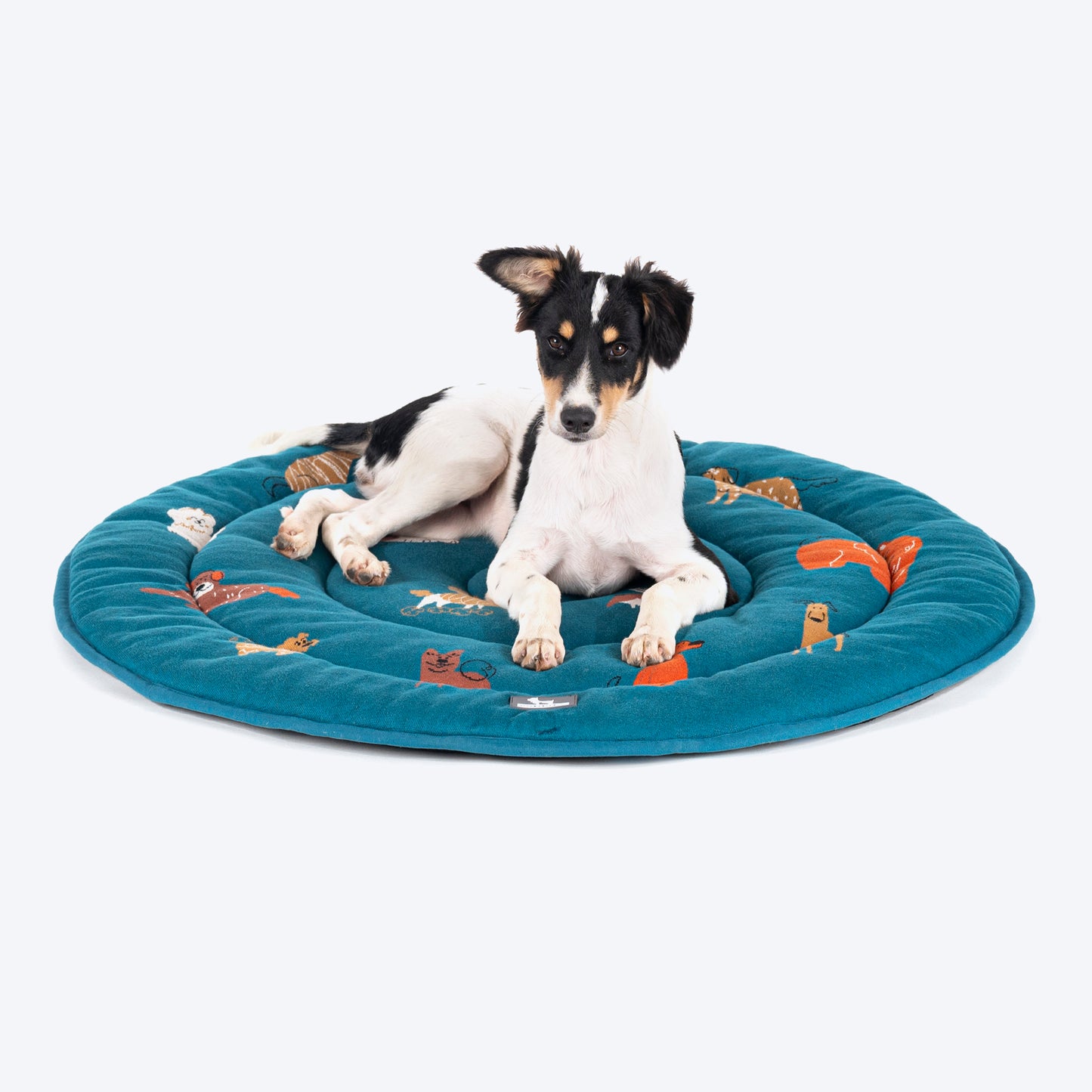 HUFT Doggie Doodles Circular Mat For Dog & Cat - Petrol Blue - Heads Up For Tails