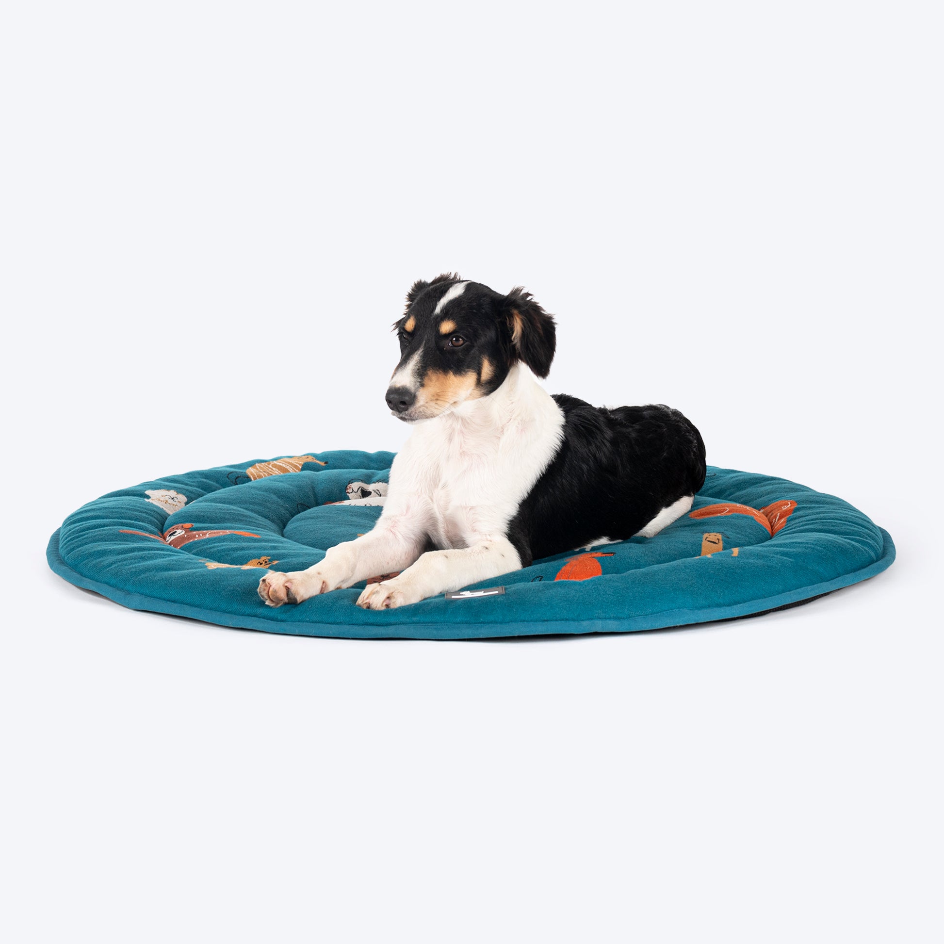 HUFT Doggie Doodles Circular Mat For Dog & Cat - Petrol Blue - Heads Up For Tails