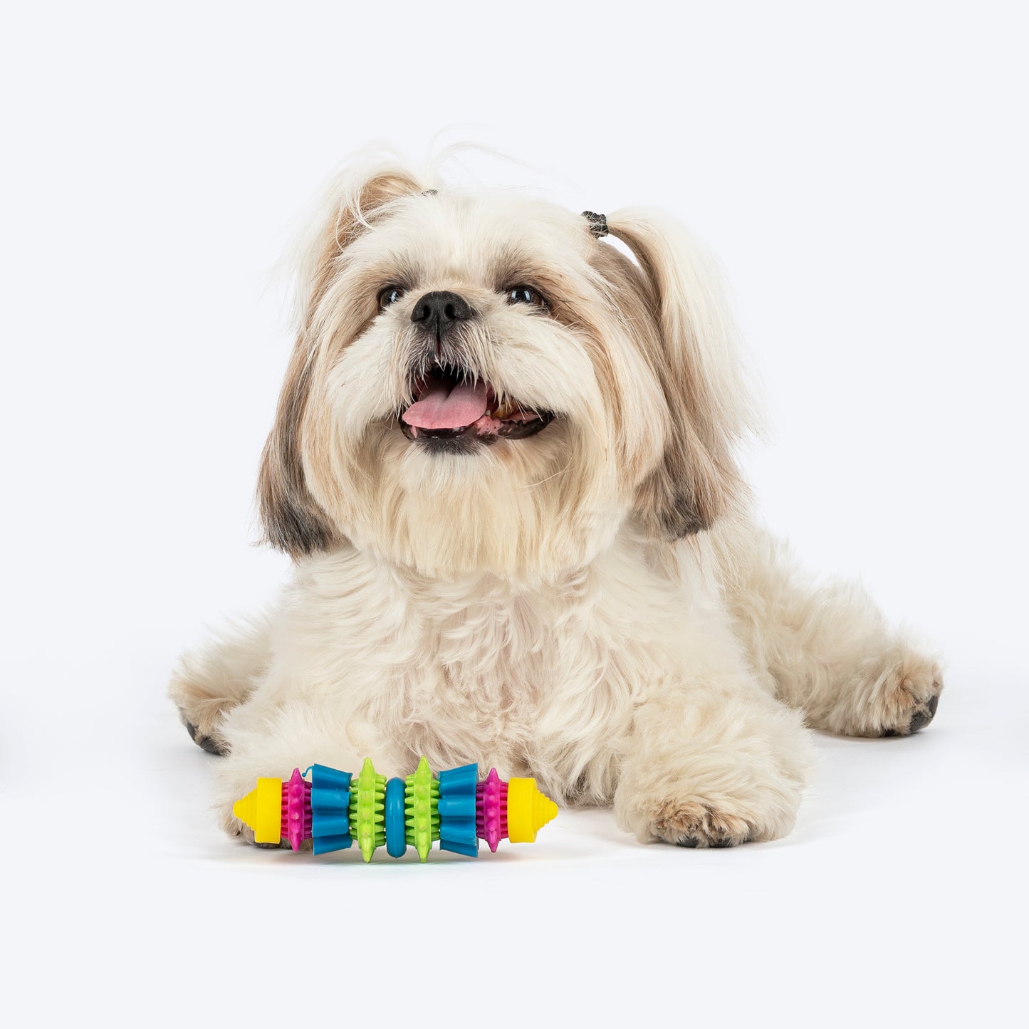TLC Spiky Chomp Chew Toy For Dog - Multicolor - Heads Up For Tails