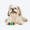 TLC Spiky Chomp Chew Toy For Dog - Multicolor - Heads Up For Tails