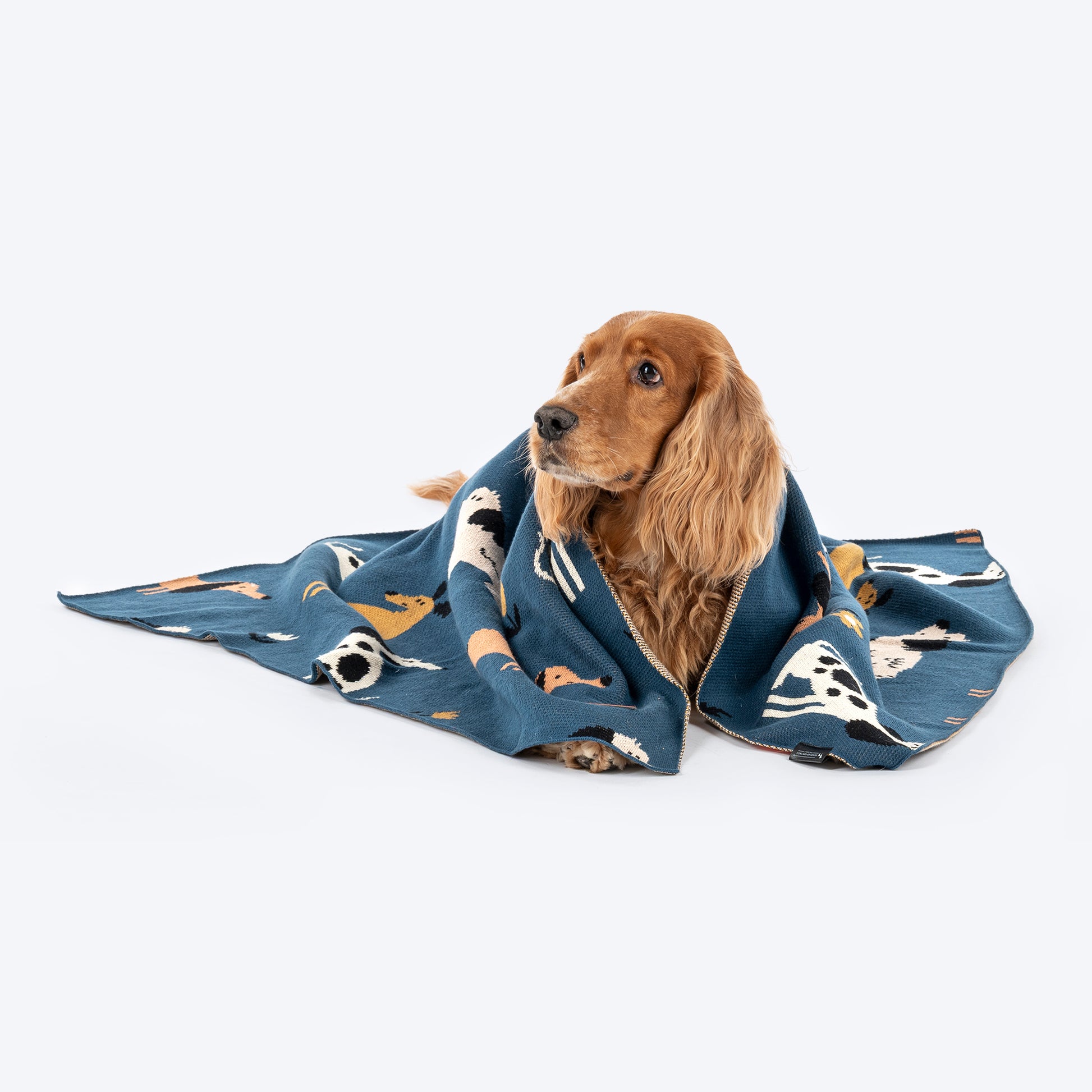 HUFT Bark & Bloom Blanket For Dog - Blue - Heads Up For Tails