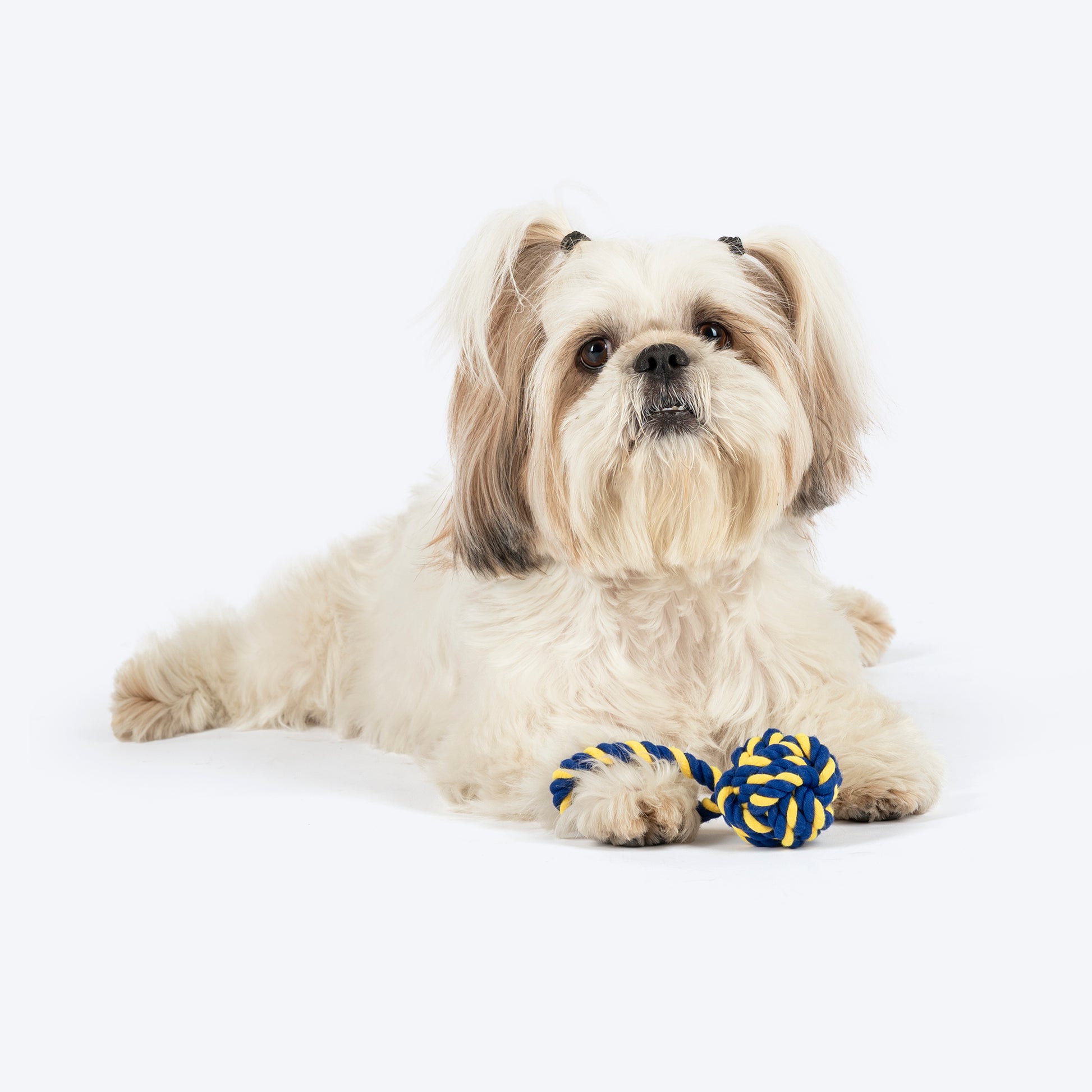 TLC Swinger Rope Toy For Puppies & Small Dog - Yellow & Blue - Heads Up For Tails