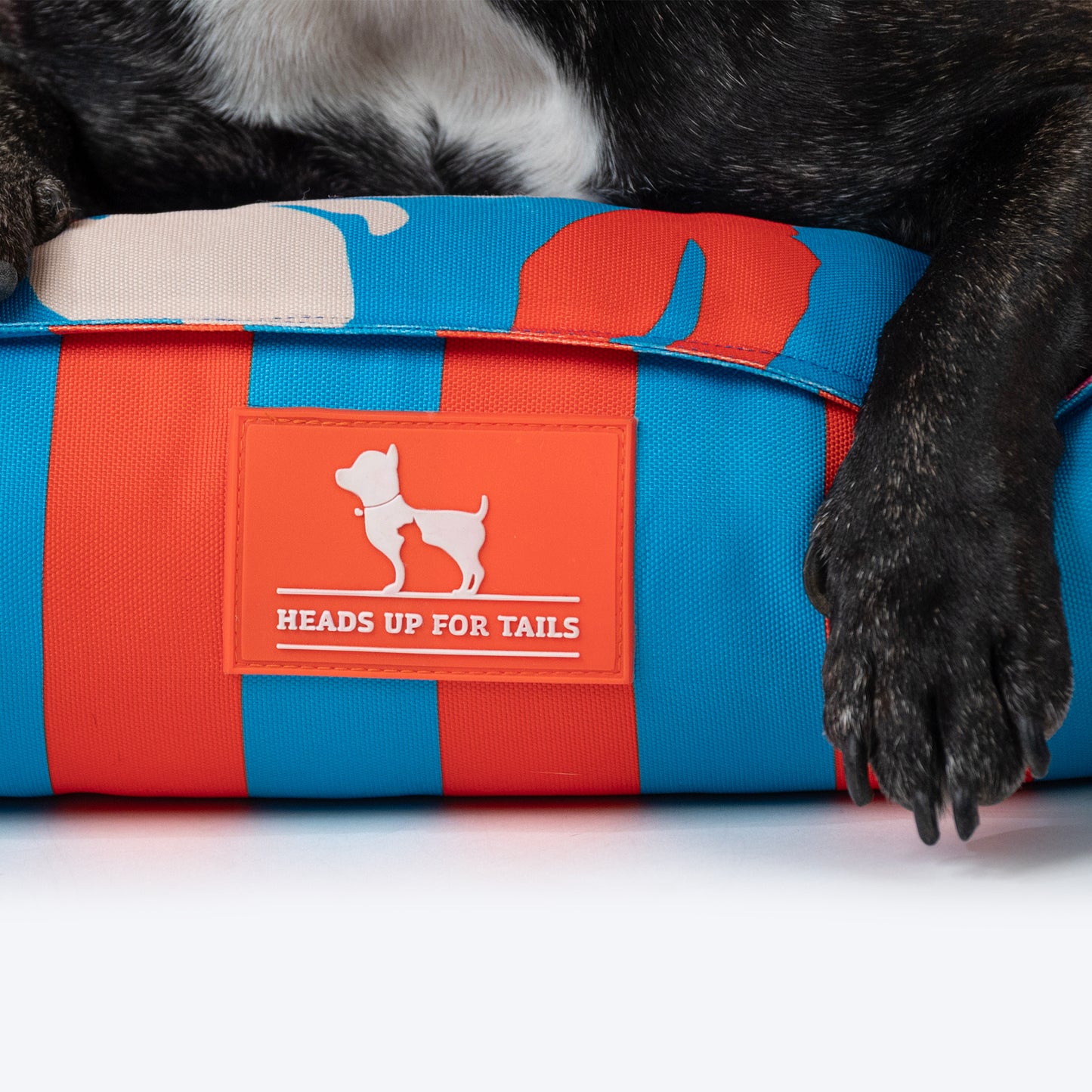 HUFT Personalised Summer Bloom Lounger Bed For Dog - Blue - Heads Up For Tails