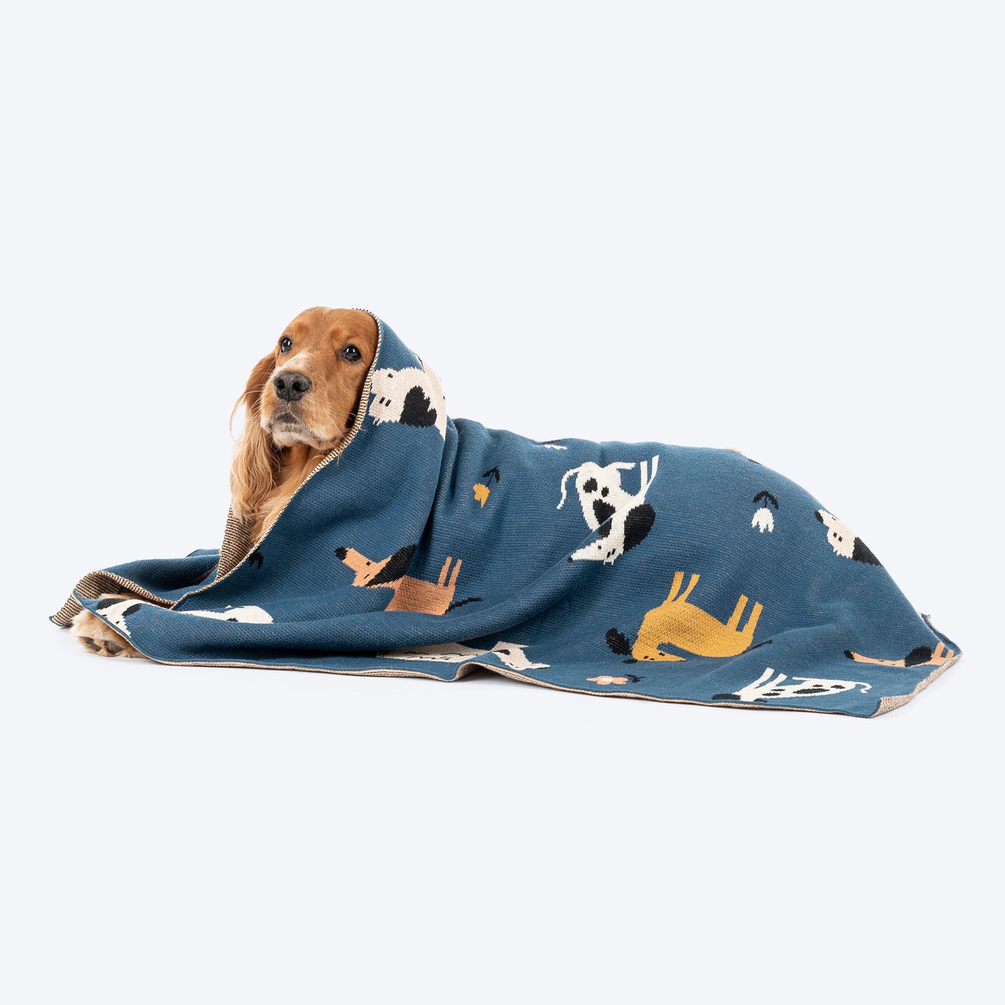 HUFT Bark & Bloom Blanket For Dog - Blue - Heads Up For Tails