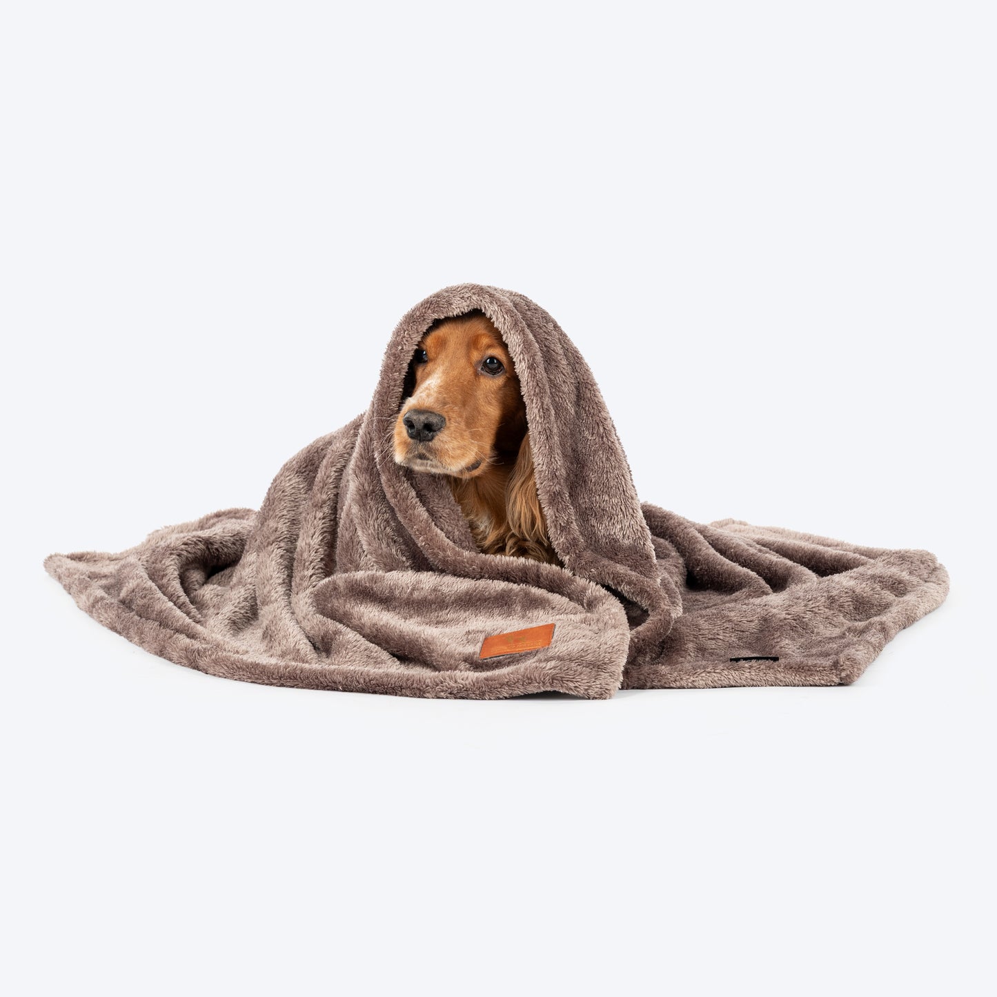 HUFT Furry Wrap Blanket For Dog & Cat - Dark Brown - Heads Up For Tails