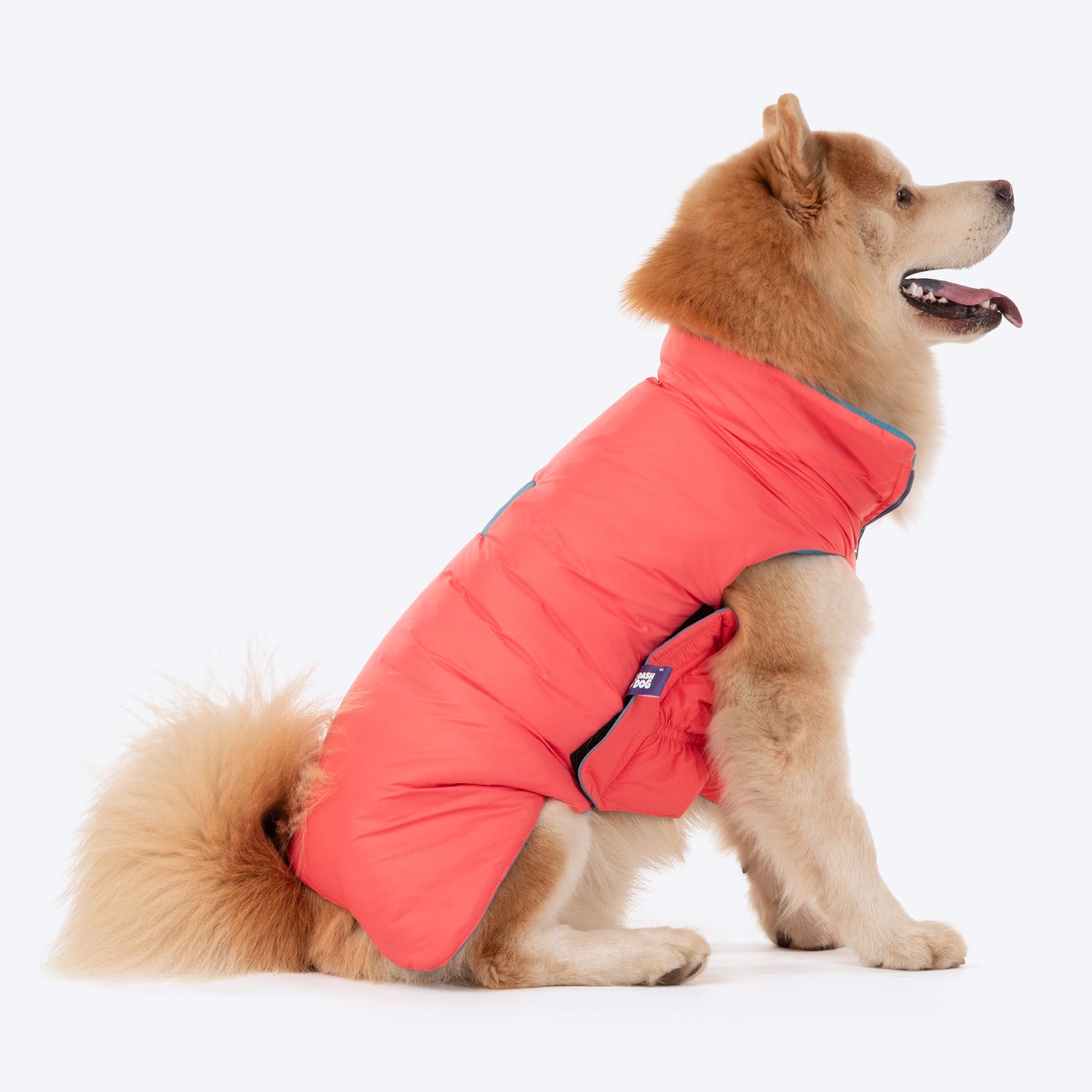 Dash Dog Puffer Dog Jacket - Aqua & Coral_06