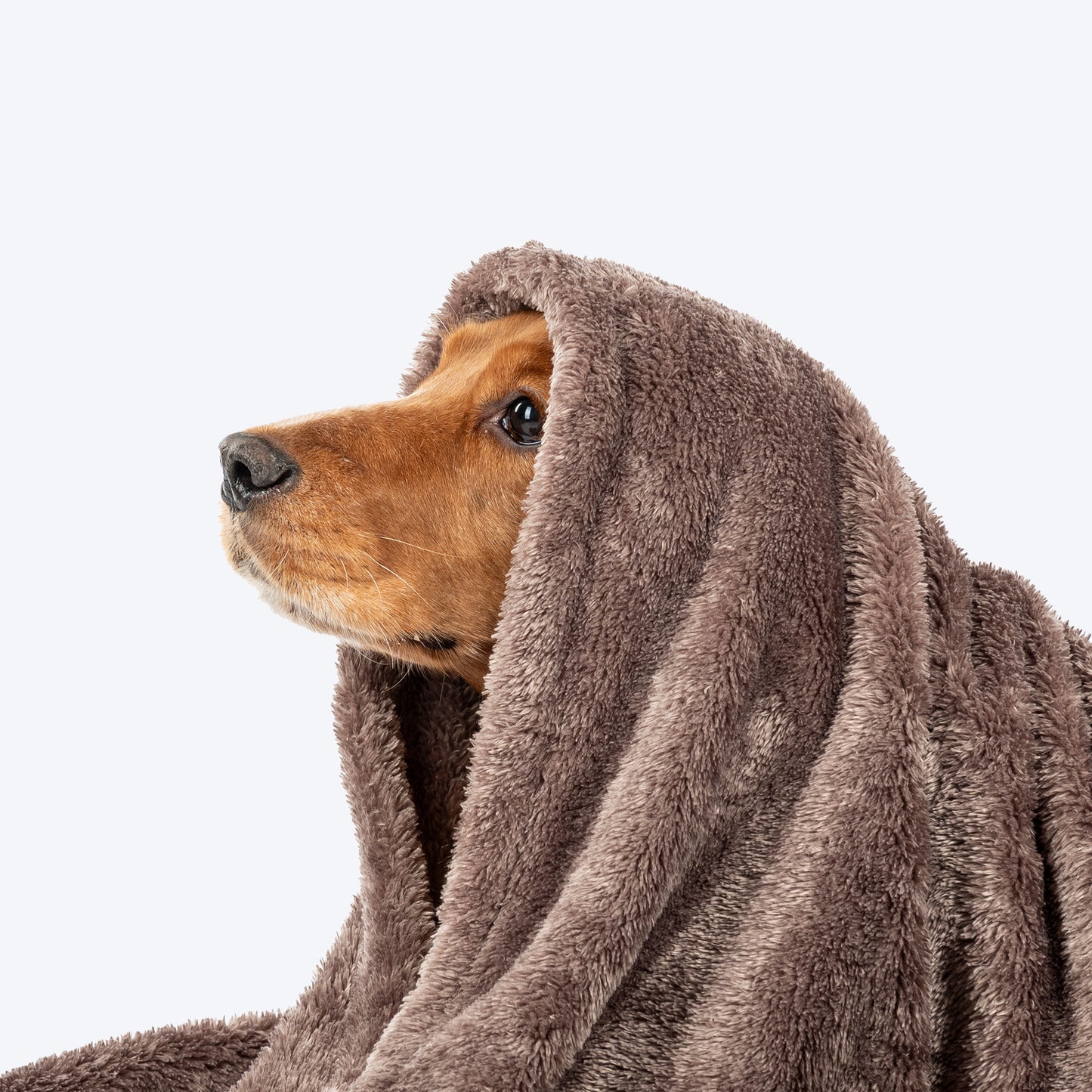 HUFT Furry Wrap Blanket For Dog & Cat - Dark Brown - Heads Up For Tails