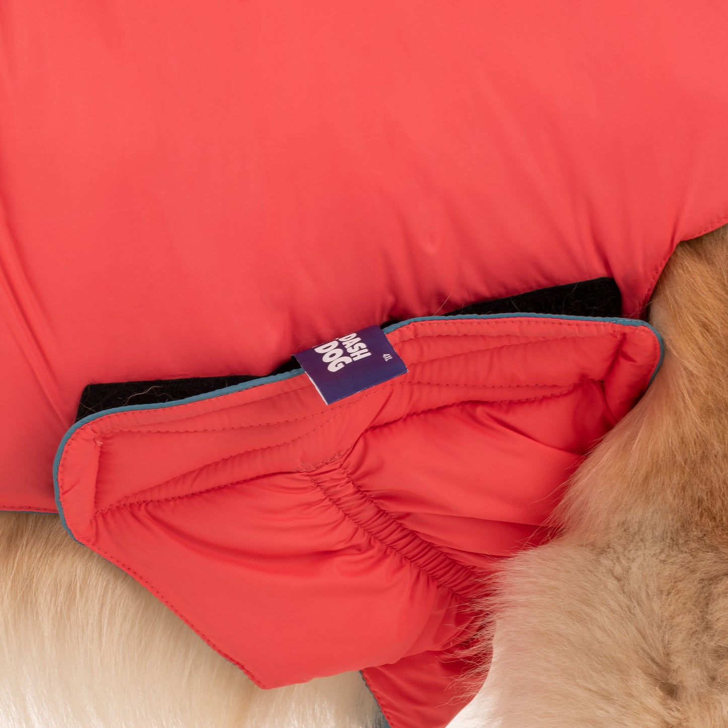 Dash Dog Puffer Dog Jacket - Aqua & Coral_14