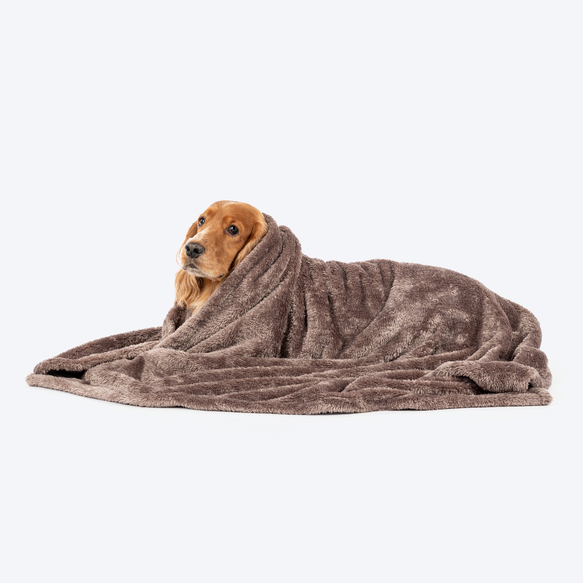 HUFT Furry Wrap Blanket For Dog & Cat - Dark Brown - Heads Up For Tails