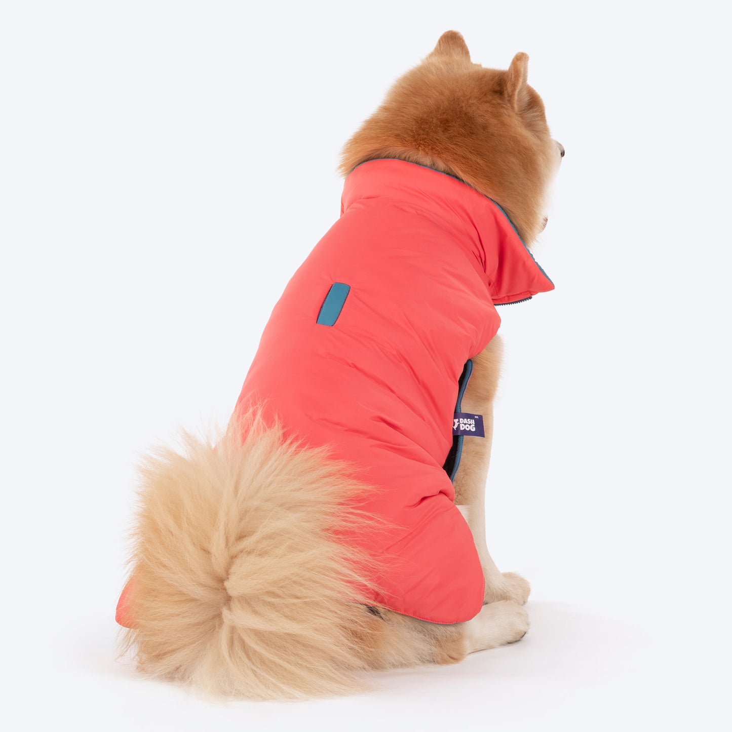 Dash Dog Puffer Dog Jacket - Aqua & Coral_04