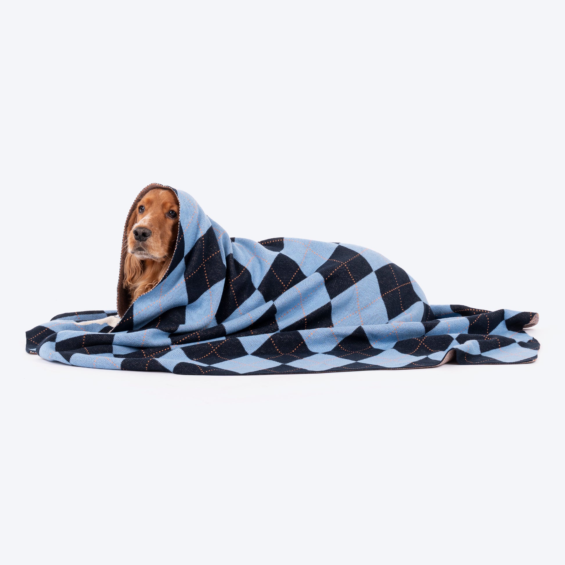 HUFT Cuddle Checks Blanket For Dog & Cat - Blue - Heads Up For Tails