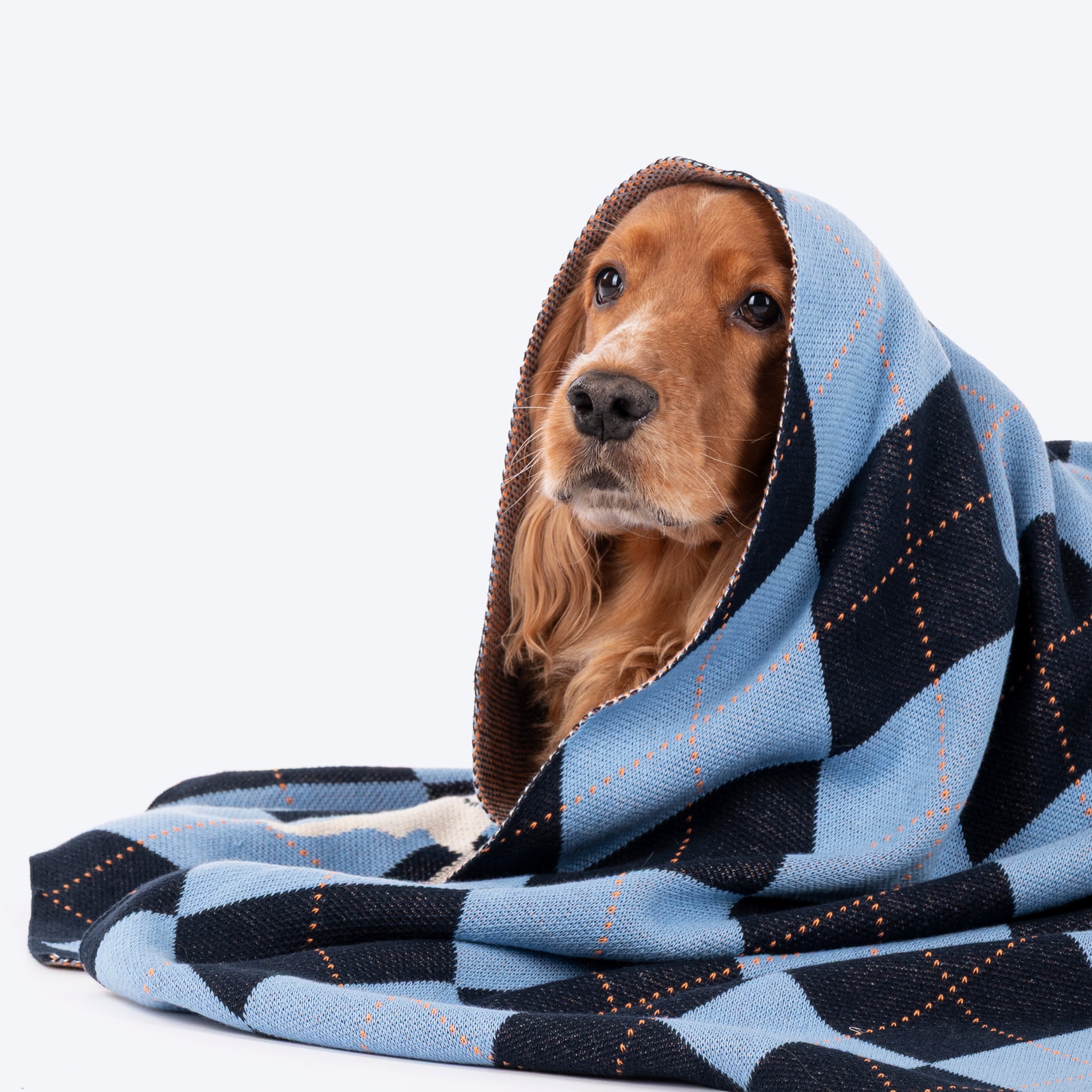 HUFT Cuddle Checks Blanket For Dog & Cat - Blue - Heads Up For Tails