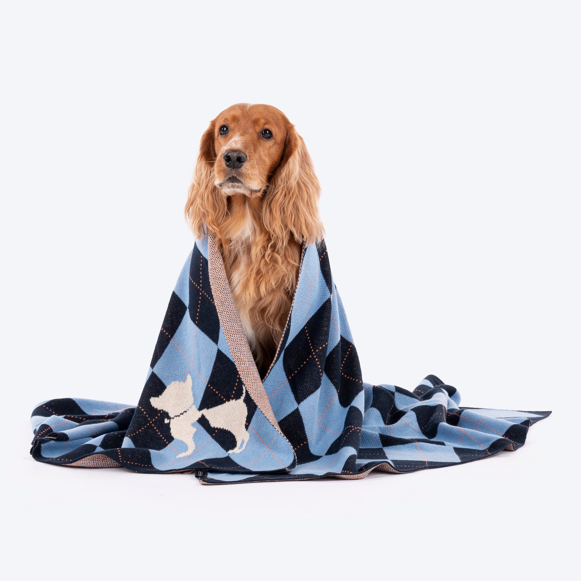 HUFT Cuddle Checks Blanket For Dog & Cat - Blue - Heads Up For Tails