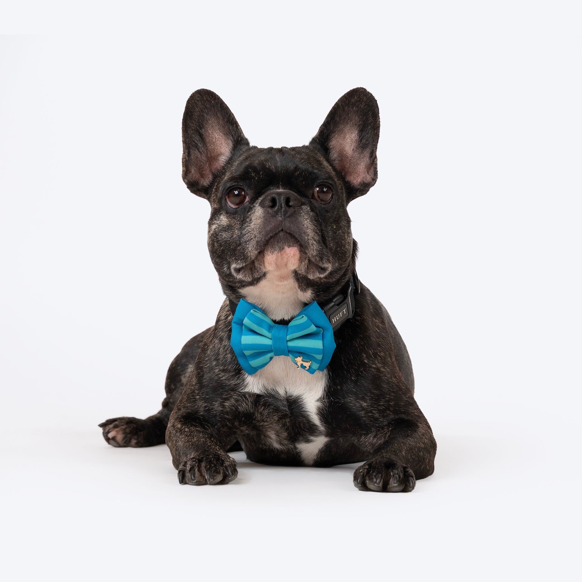 HUFT Happy Stripes Bow Tie For Dog - Blue & Turquoise - Heads Up For Tails