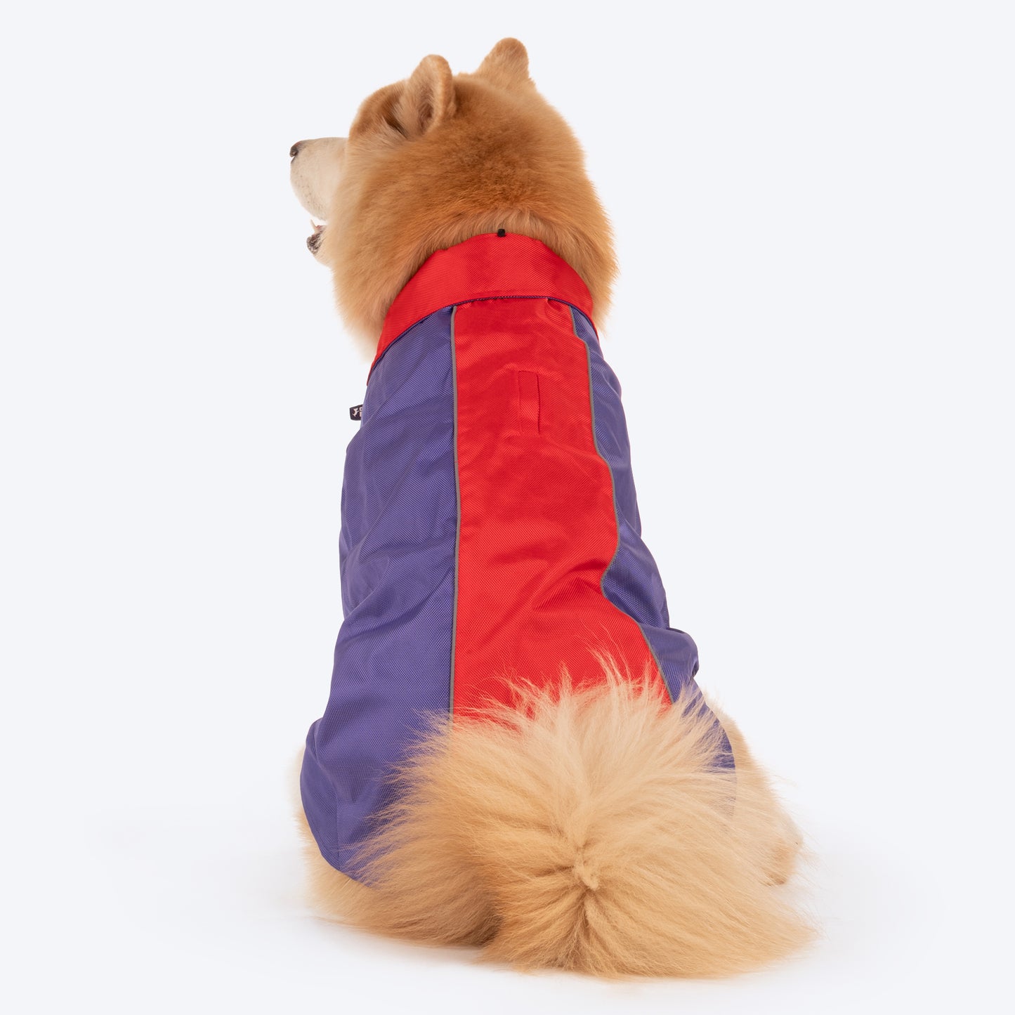 Dash Dog Outdoor Dog Jacket - Violet & Red_07