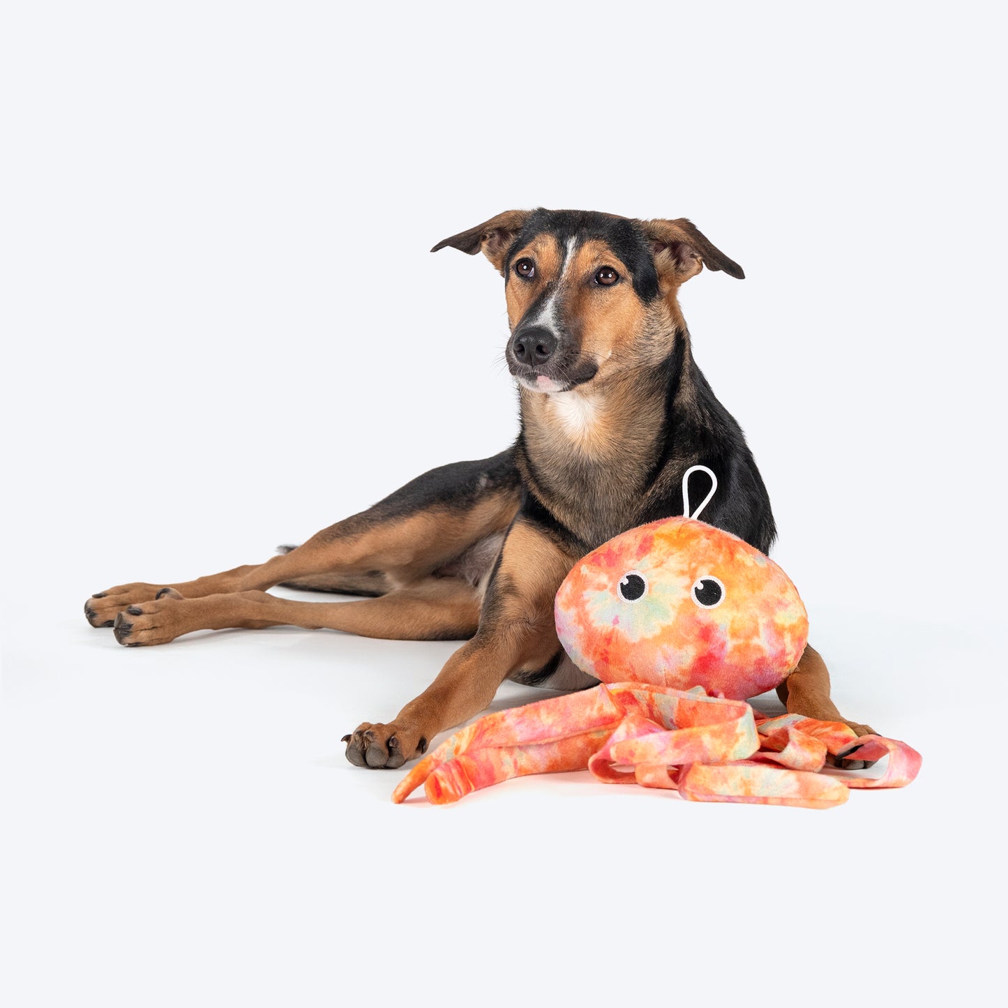 HUFT Octopaws Supreme Plush Toy For Dog - Multicolor - Heads Up For Tails