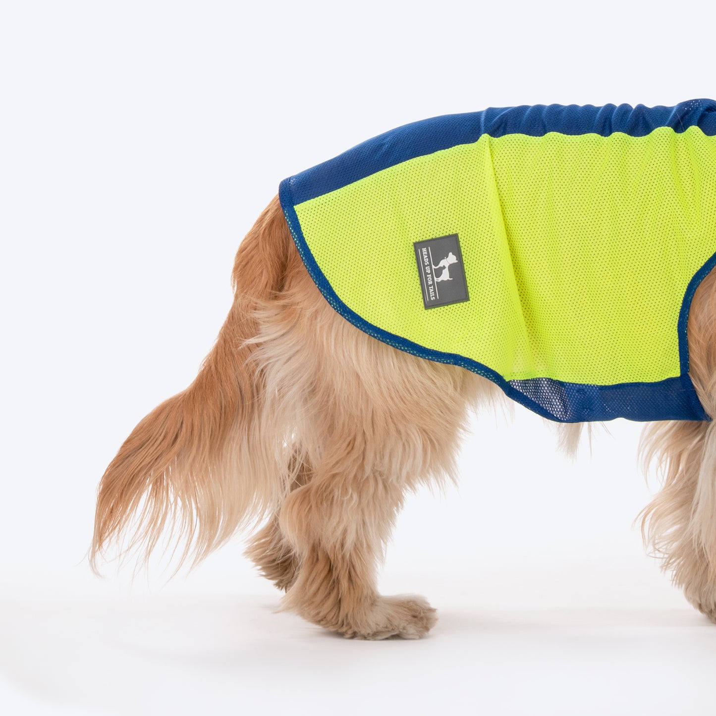 HUFT Neon Burst Vest For Dogs (Blue) - Heads Up For Tails
