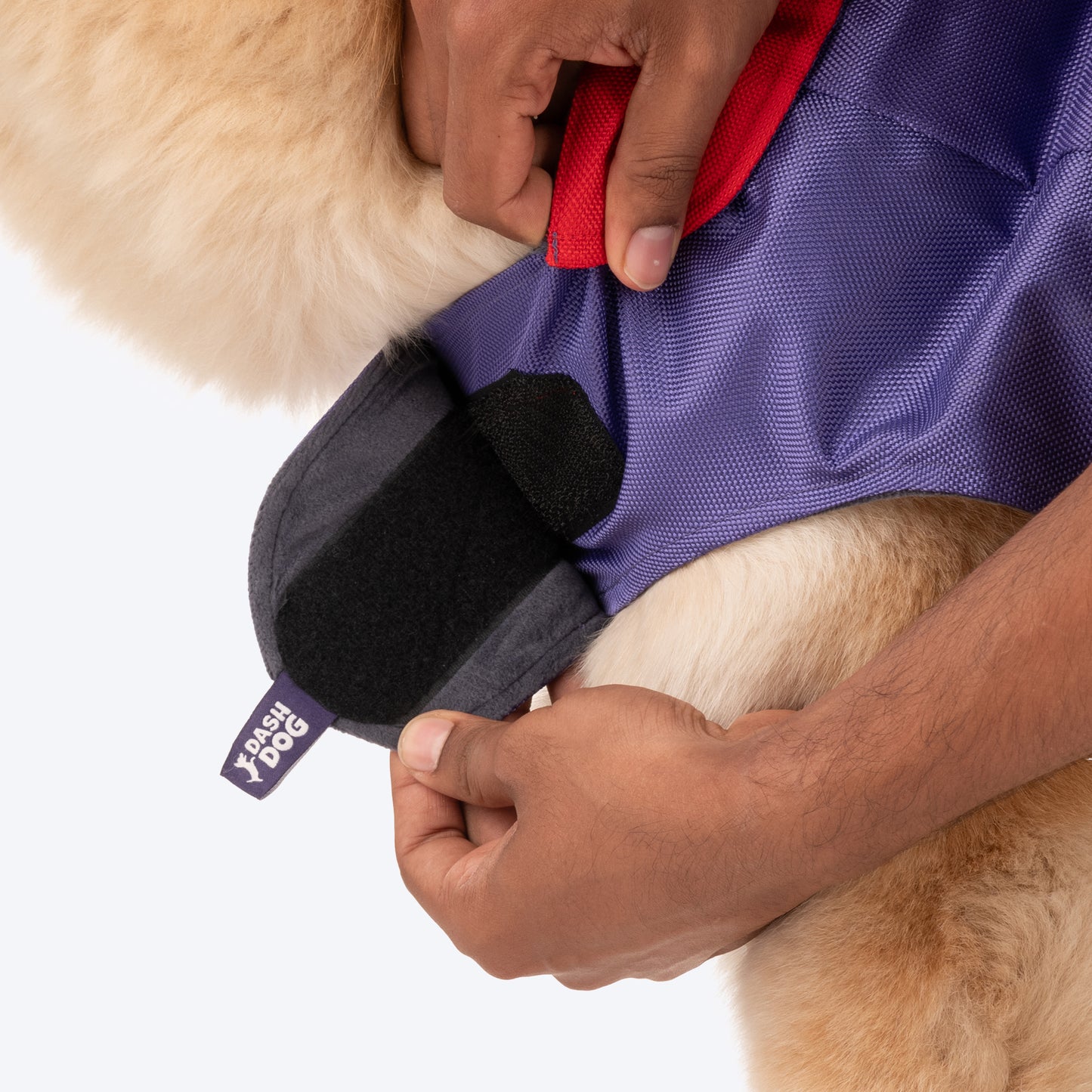 Dash Dog Outdoor Dog Jacket - Violet & Red_09