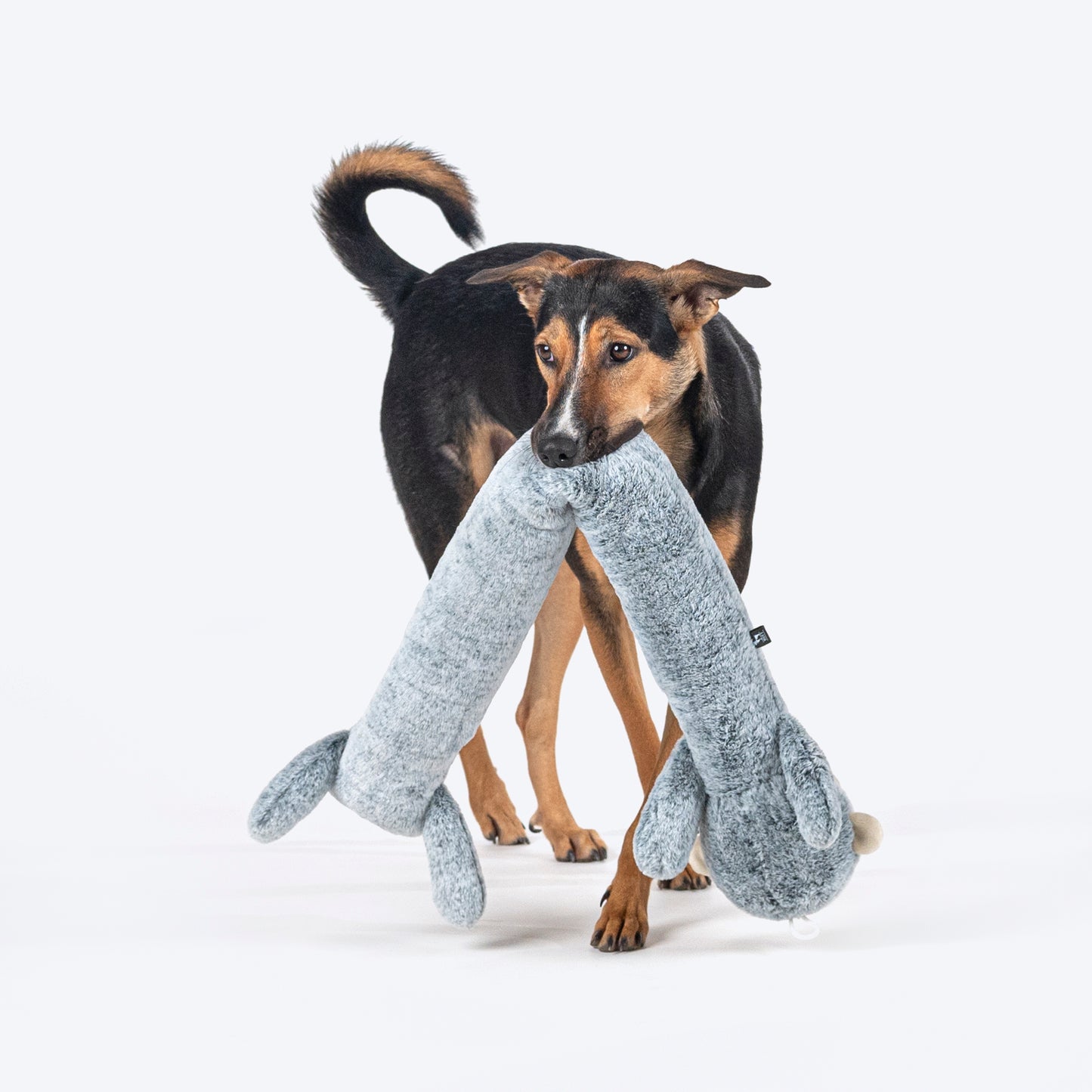 HUFT Mister Monki Mega Plush Toy For Dog - Grey Melange - Heads Up For Tails