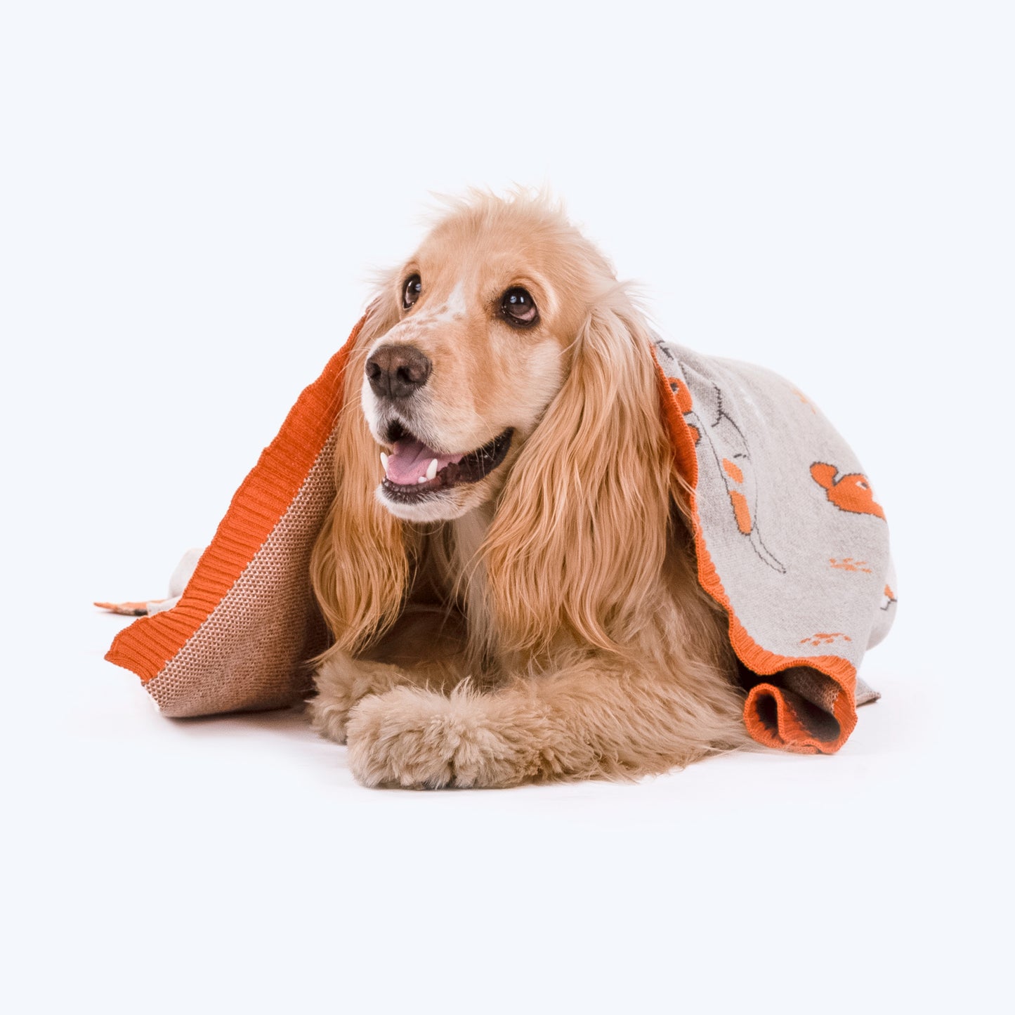 HUFT Paws & Nap Blanket For Pets - Heads Up For Tails