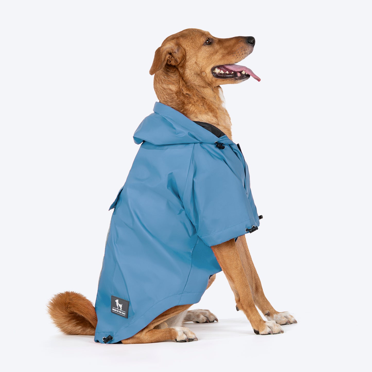 HUFT Magical Mist Dog Raincoat (Made to Order) - Heads Up For Tails