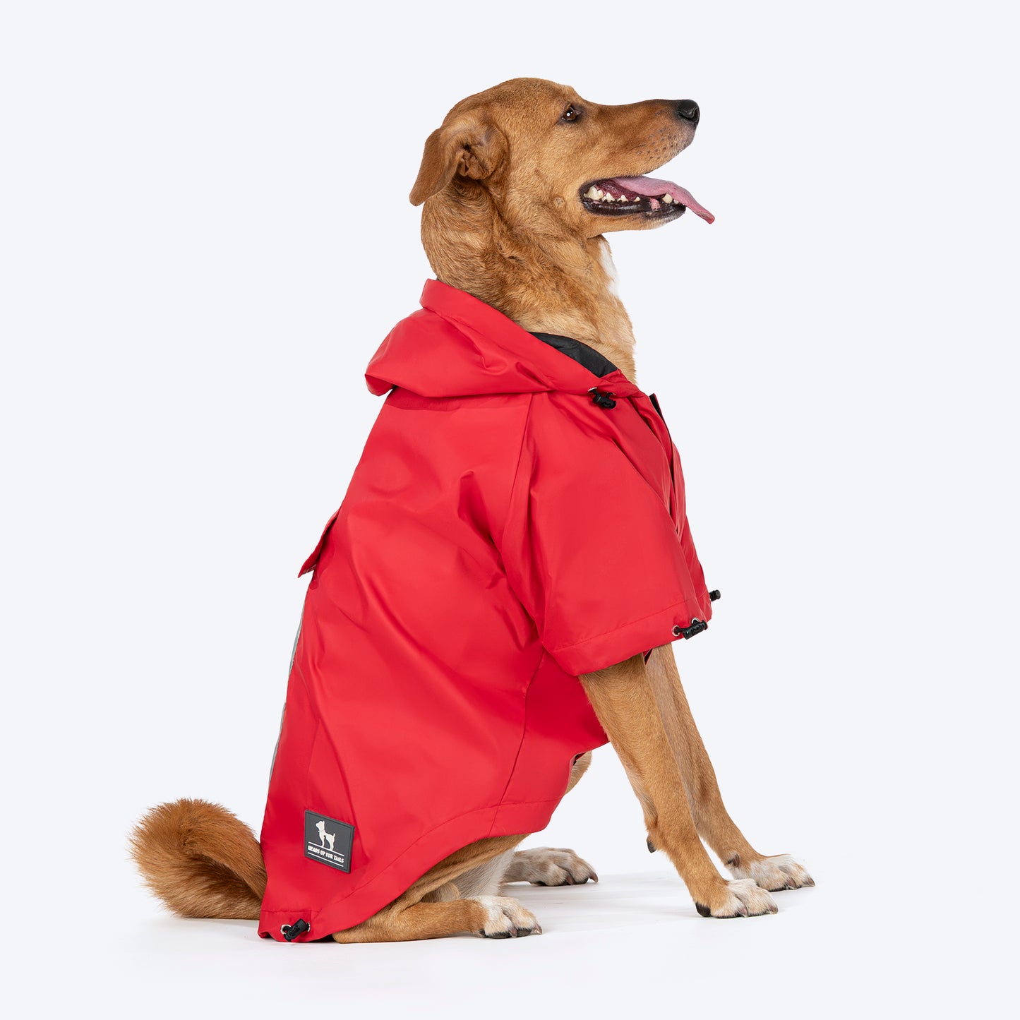 HUFT Magical Mist Dog Raincoat (Made to Order) - Heads Up For Tails