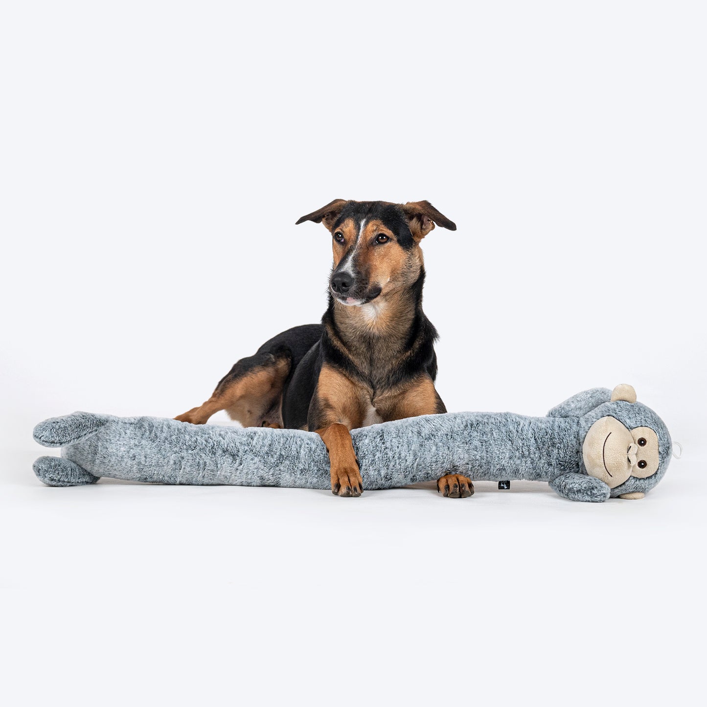 HUFT Mister Monki Mega Plush Toy For Dog - Grey Melange - Heads Up For Tails
