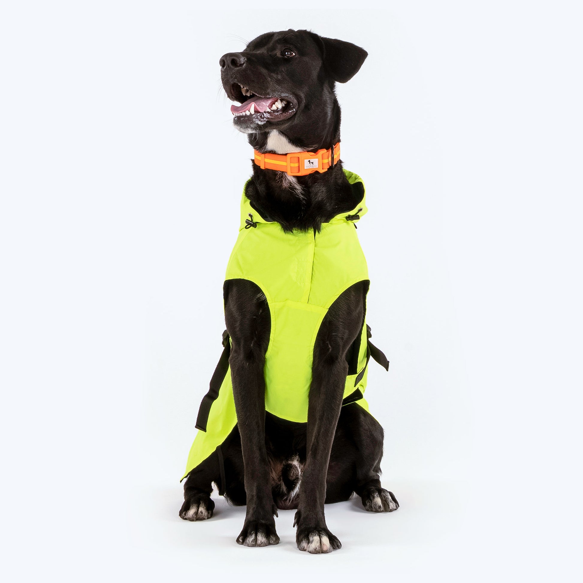 HUFT Neon Shower Dog Raincoat - Neon Green & Deep Blue - Heads Up For Tails