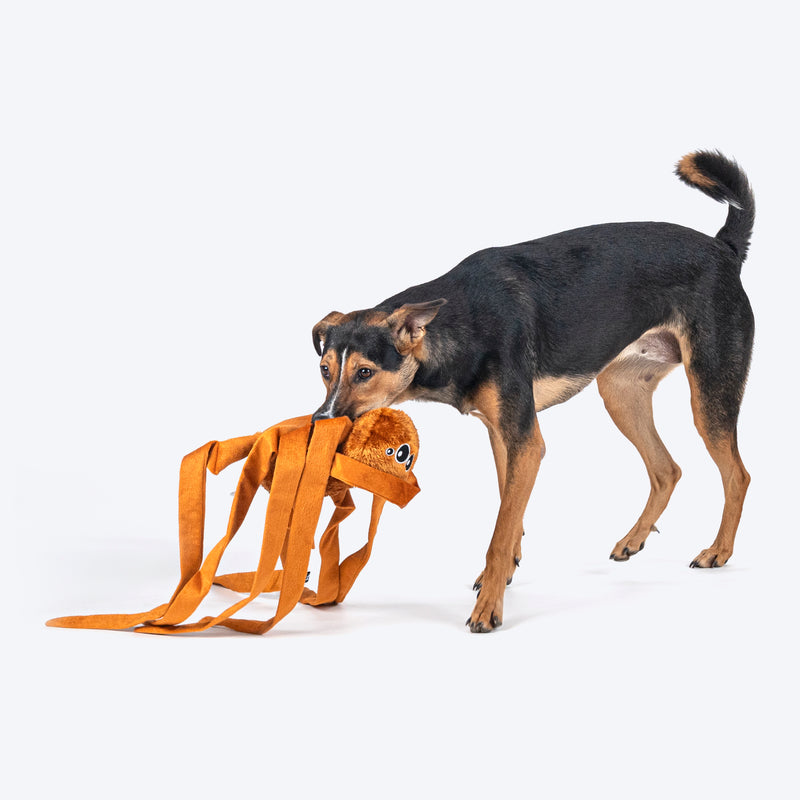 HUFT Webby Long-Legs Plush Toy For Dog - Brown - Heads Up For Tails