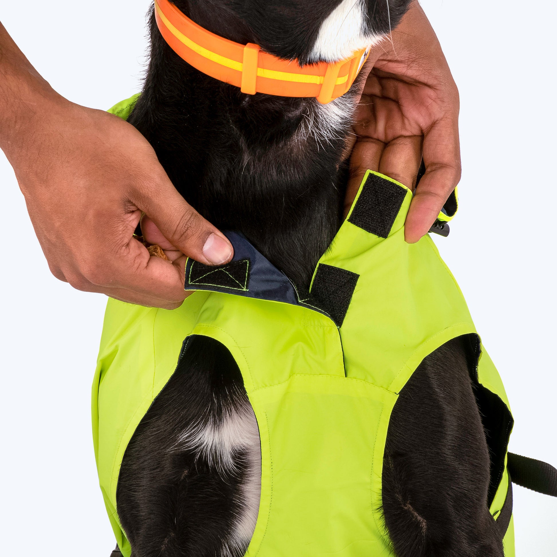HUFT Neon Shower Dog Raincoat - Neon Green & Deep Blue - Heads Up For Tails
