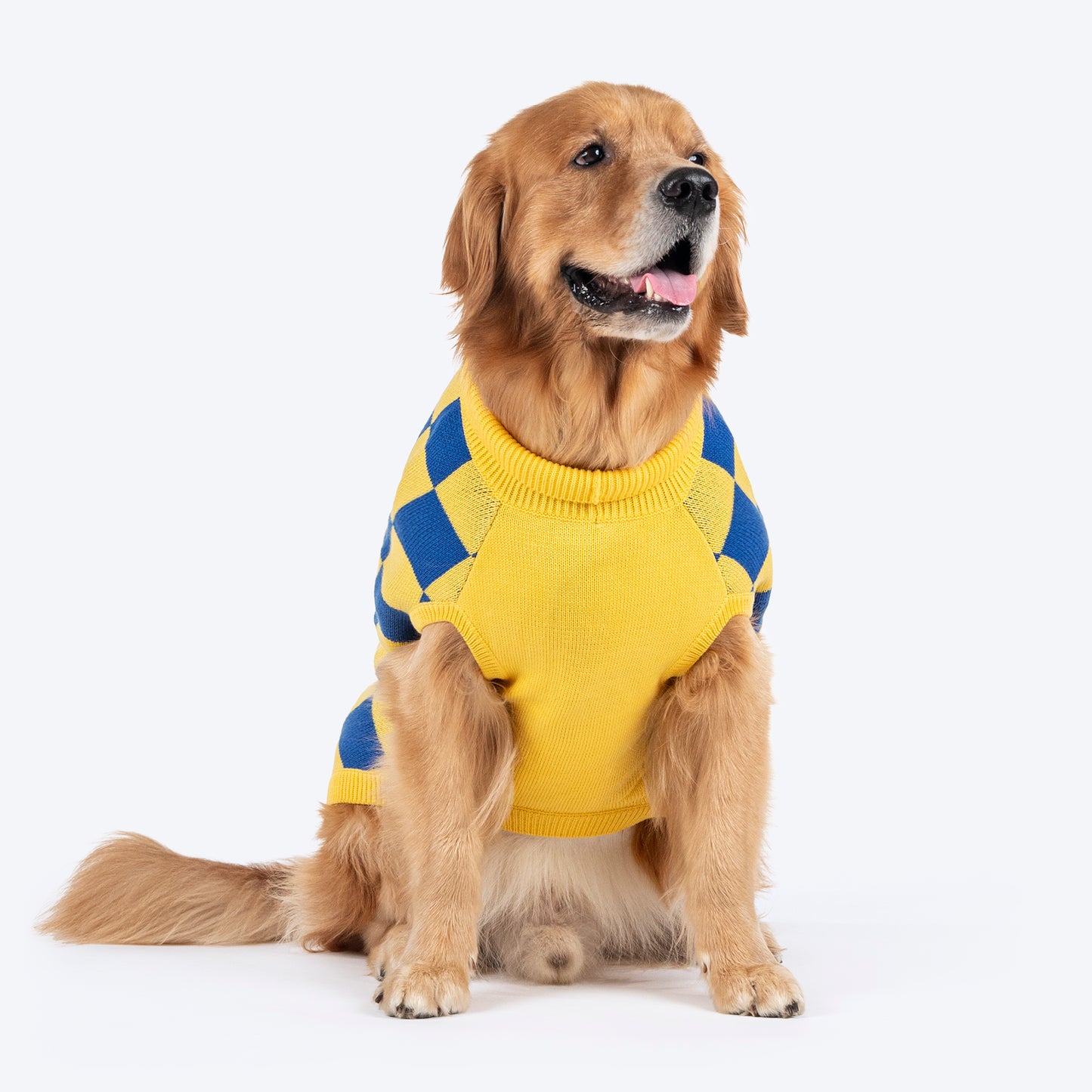 TLC Sunny Checks Sweater For Dog - Yellow & Blue - Heads Up For Tails