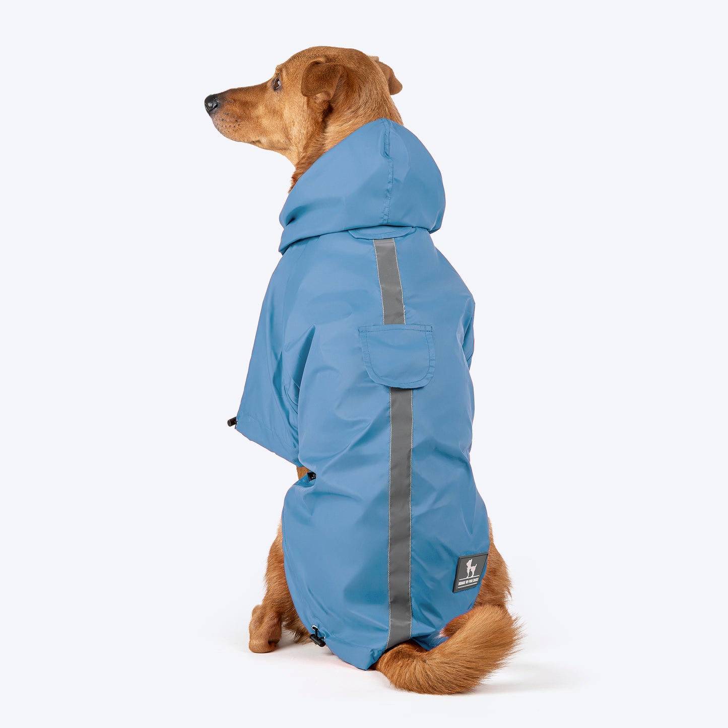 HUFT Magical Mist Dog Raincoat (Made to Order) - Heads Up For Tails