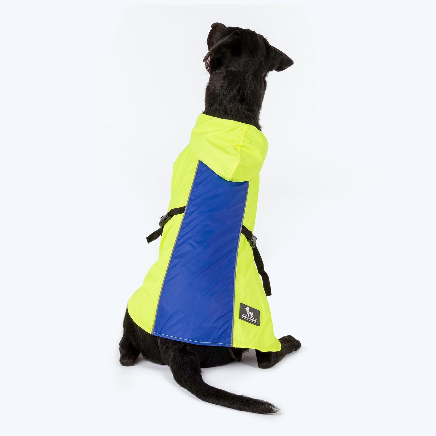 HUFT Neon Shower Dog Raincoat - Neon Green & Deep Blue - Heads Up For Tails