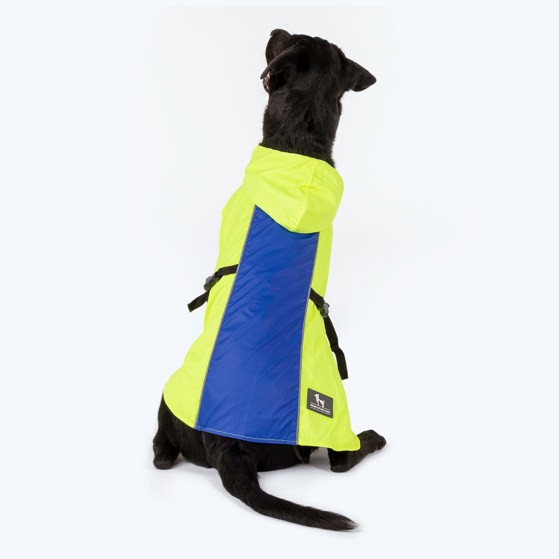 HUFT Neon Shower Dog Raincoat - Neon Green & Deep Blue - Heads Up For Tails