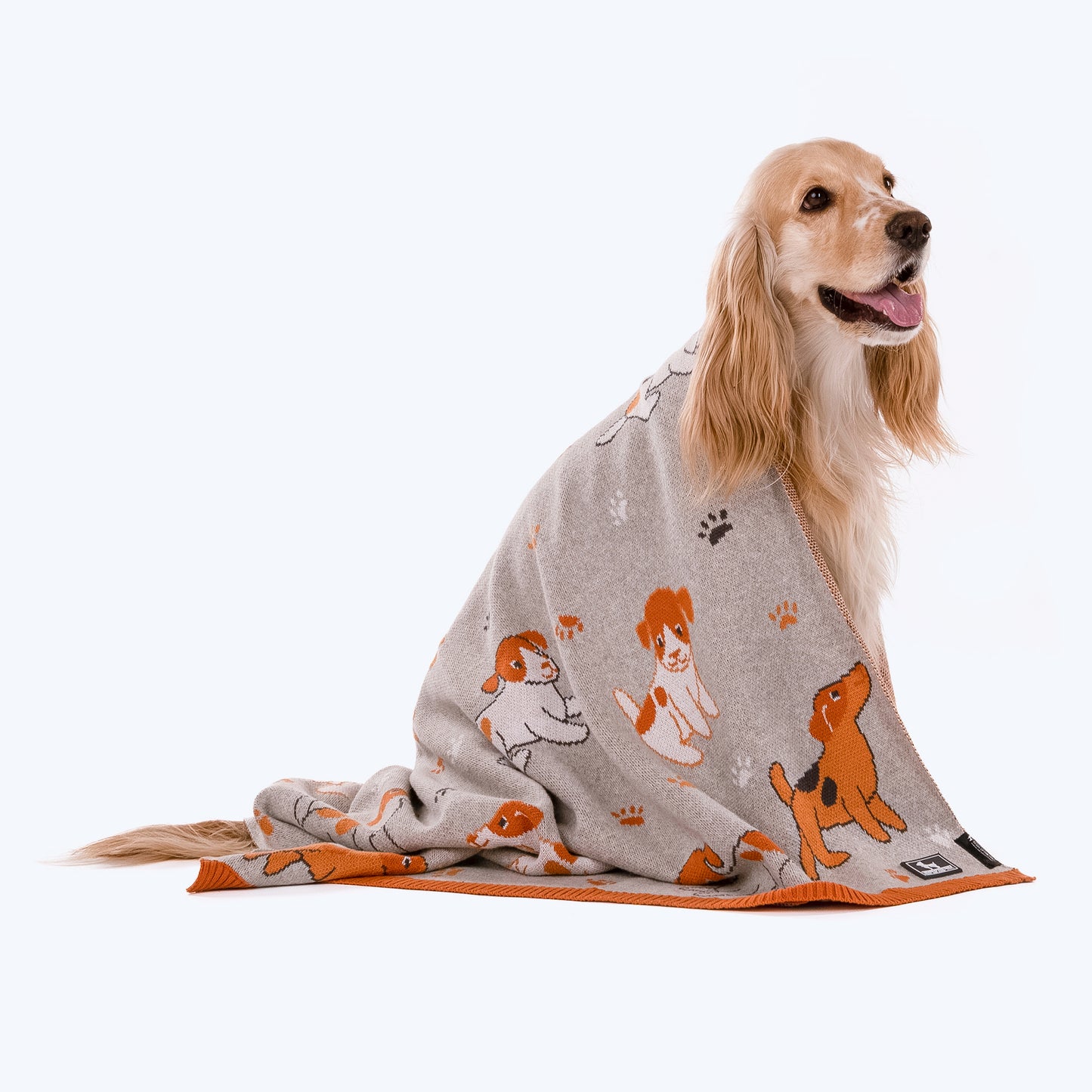 HUFT Paws & Nap Blanket For Pets - Heads Up For Tails